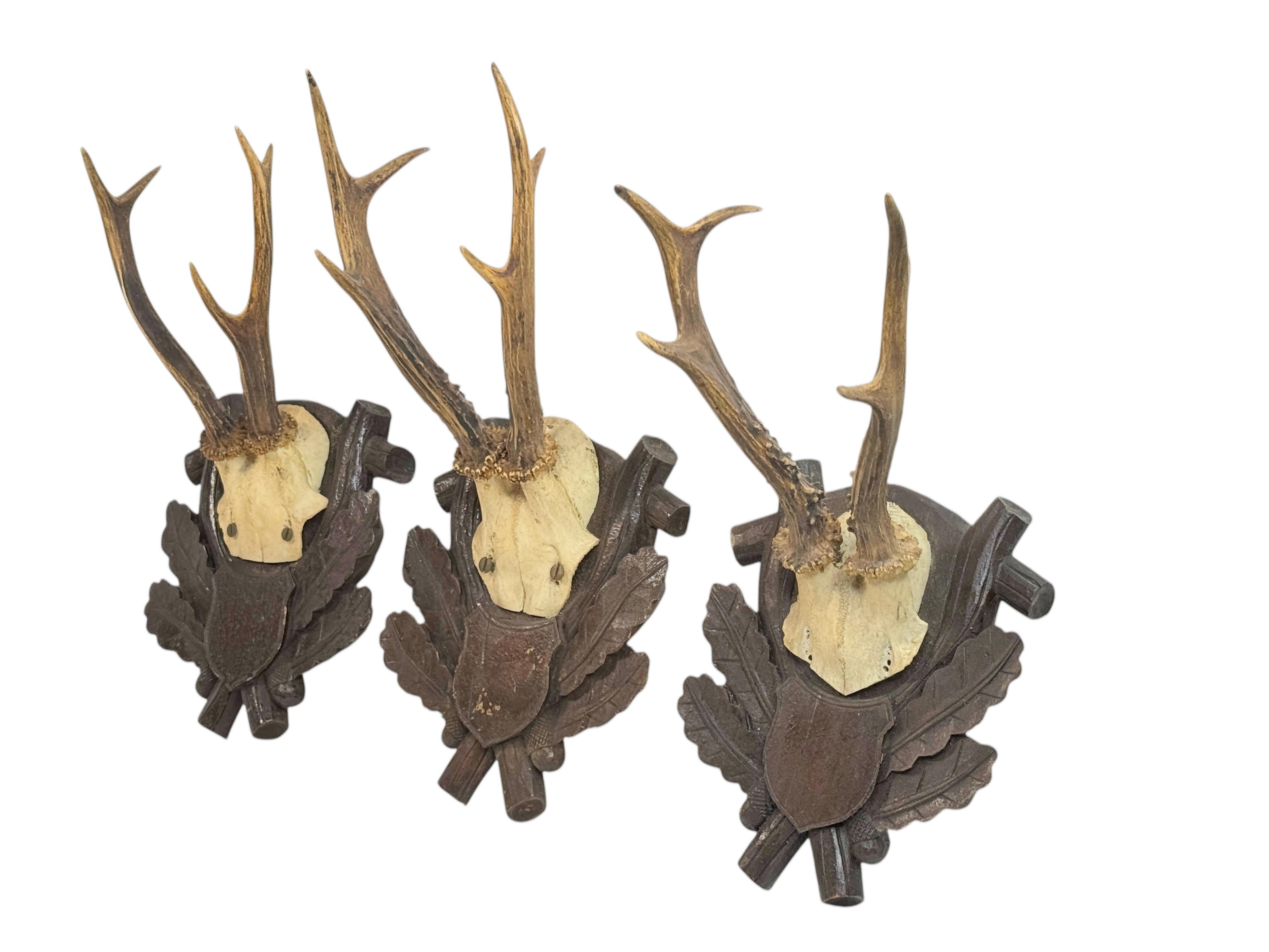 Three Deer Antler Mount Trophy Black Forest on Wood Plaque Austria Folk Art 1930 For Sale 6