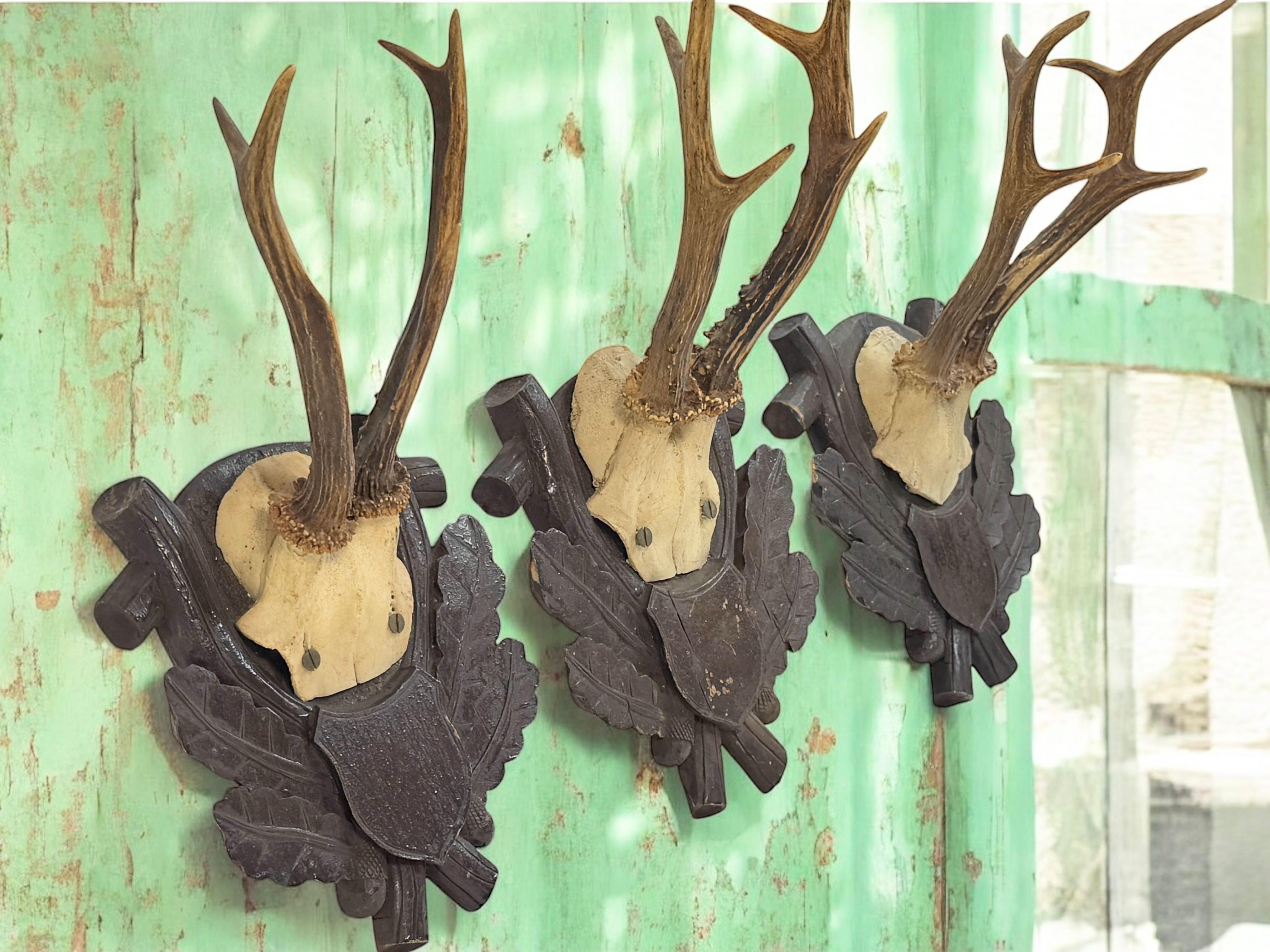 Three Deer Antler Mount Trophy Black Forest on Wood Plaque Austria Folk Art 1930 For Sale 8