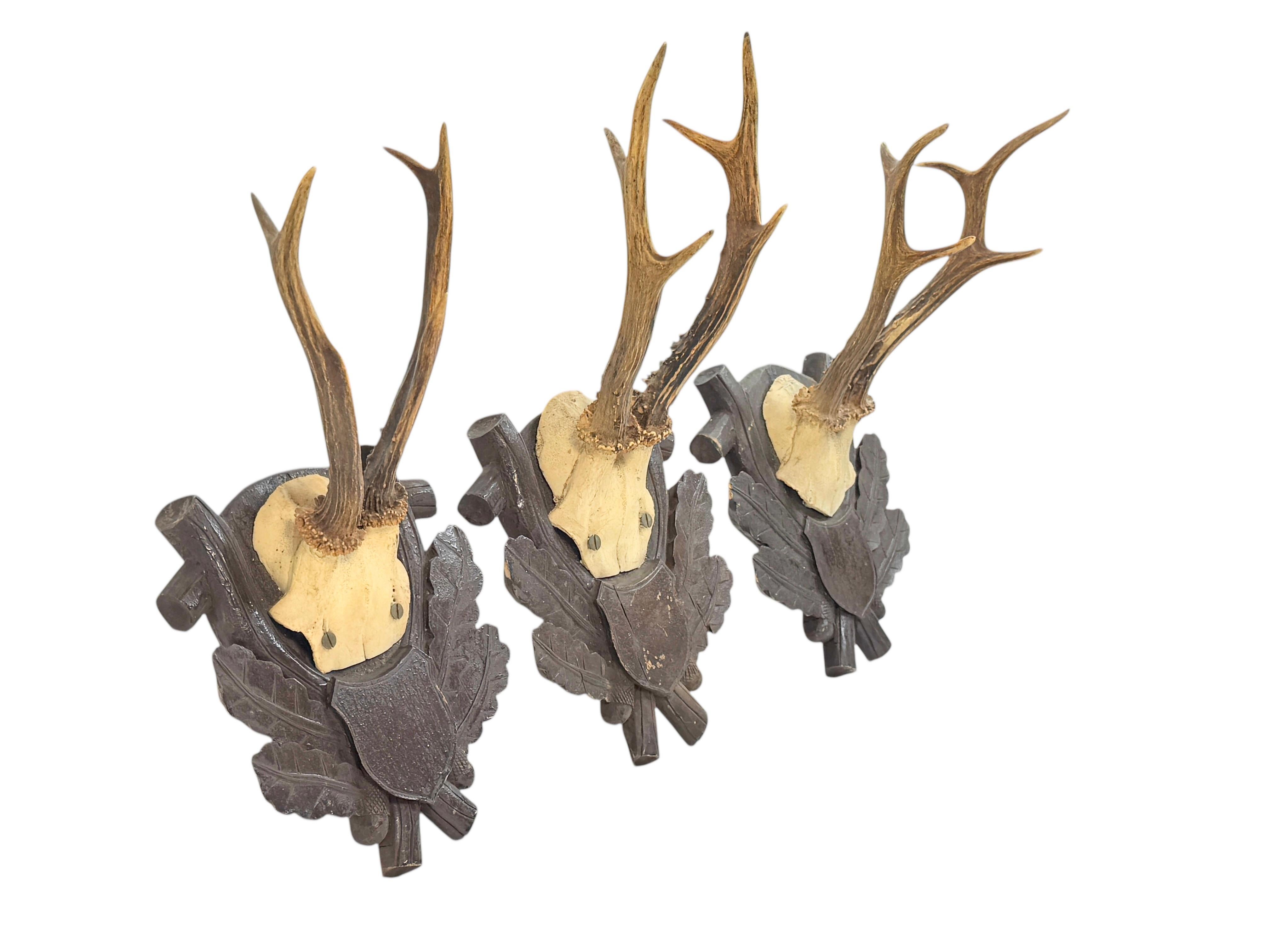 Three Deer Antler Mount Trophy Black Forest on Wood Plaque Austria Folk Art 1930 For Sale 9