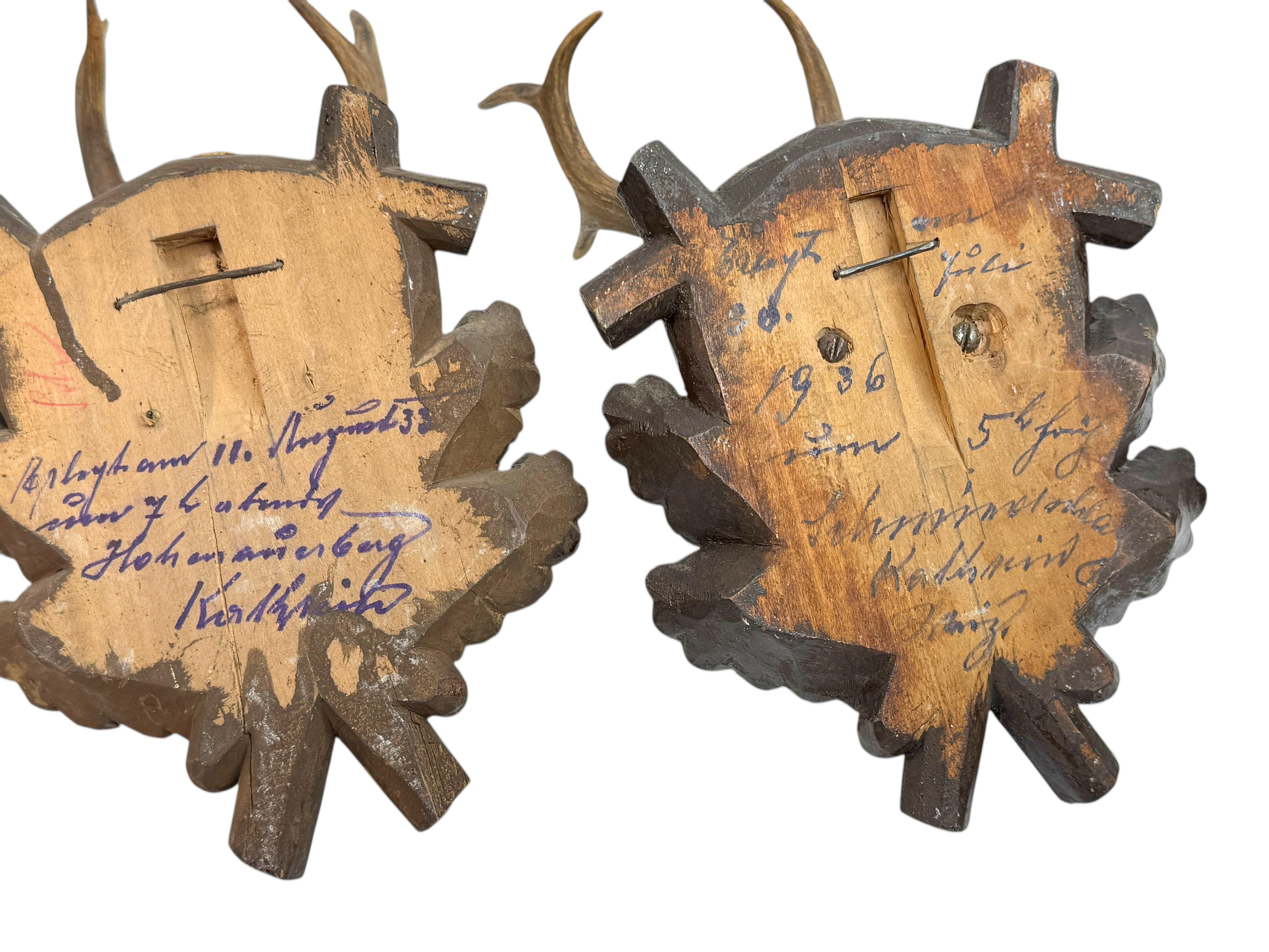 Three Deer Antler Mount Trophy Black Forest on Wood Plaque Austria Folk Art 1930 For Sale 13