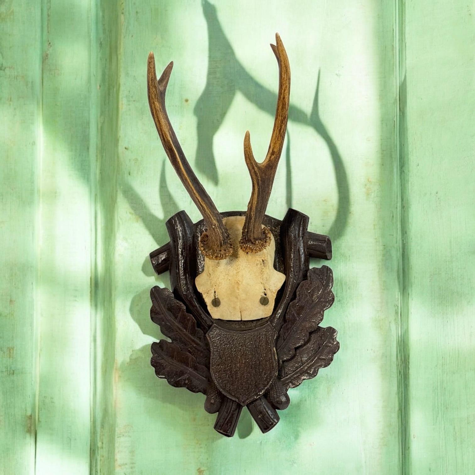 Hand-Carved Three Deer Antler Mount Trophy Black Forest on Wood Plaque Austria Folk Art 1930 For Sale