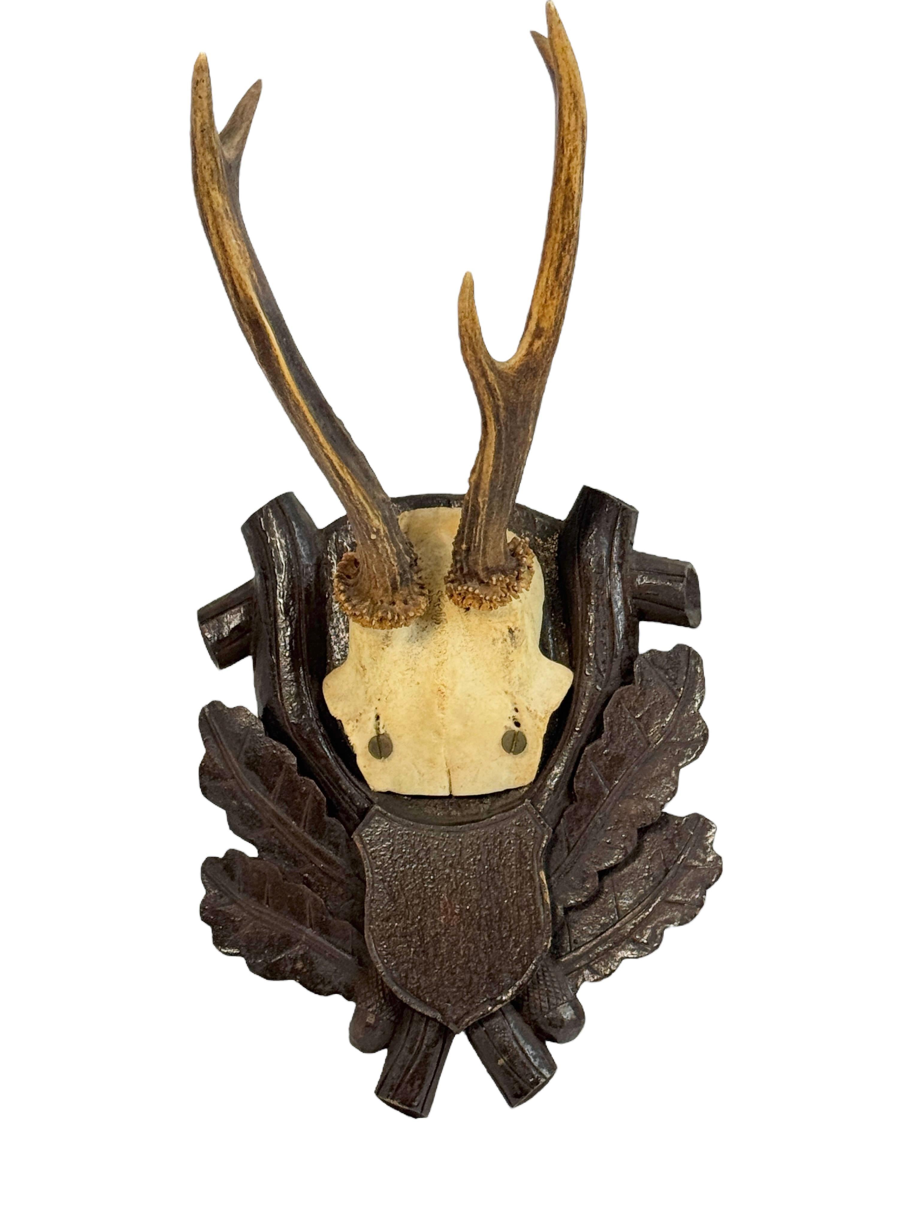 Three Deer Antler Mount Trophy Black Forest on Wood Plaque Austria Folk Art 1930 In Good Condition For Sale In Nuernberg, DE