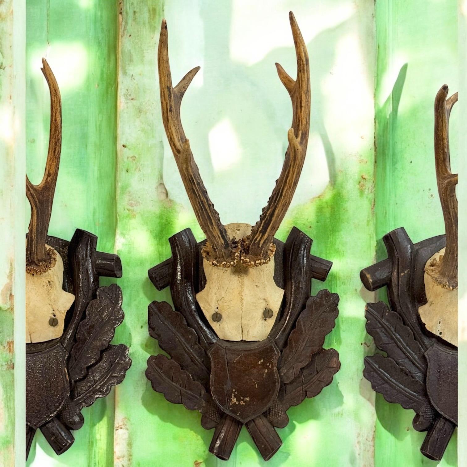 Mid-20th Century Three Deer Antler Mount Trophy Black Forest on Wood Plaque Austria Folk Art 1930 For Sale