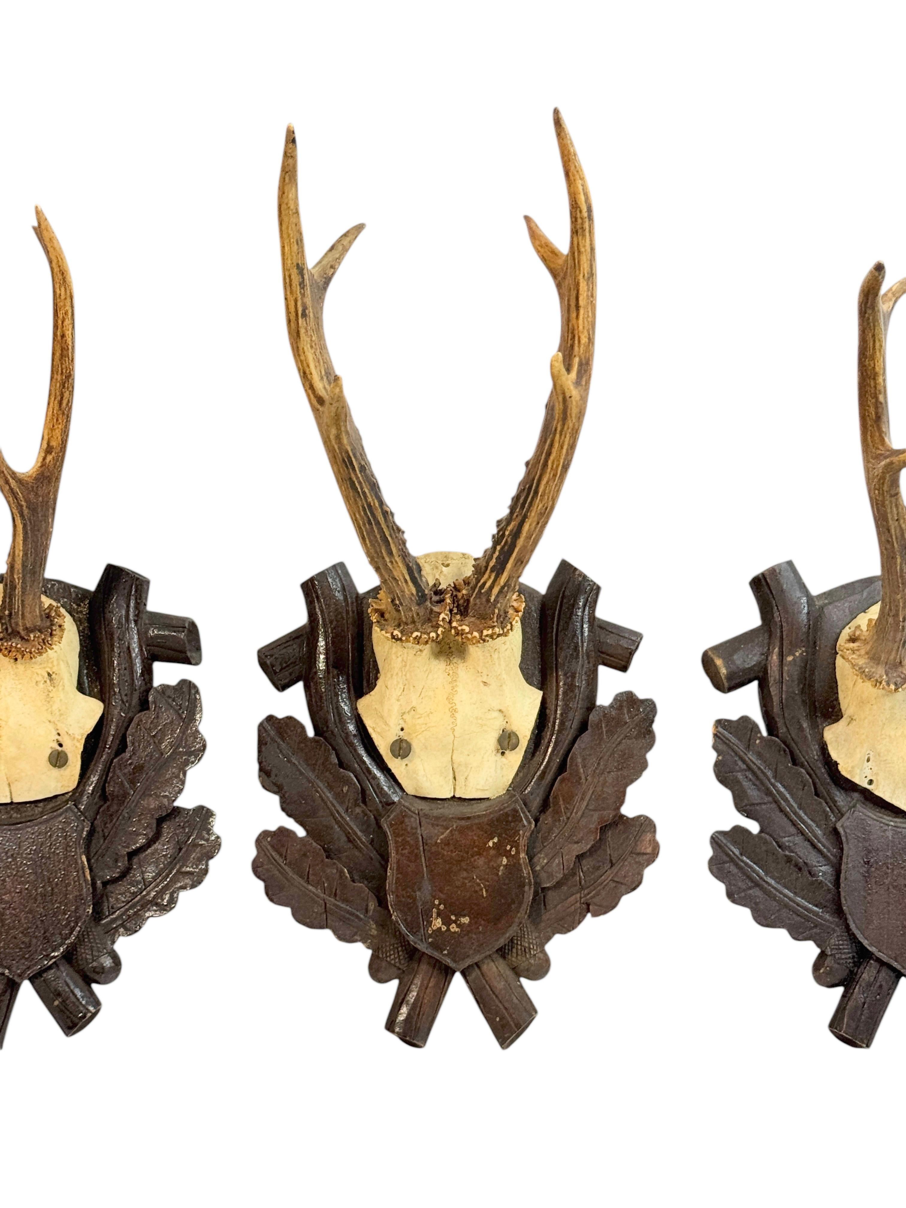 Three Deer Antler Mount Trophy Black Forest on Wood Plaque Austria Folk Art 1930 For Sale 1