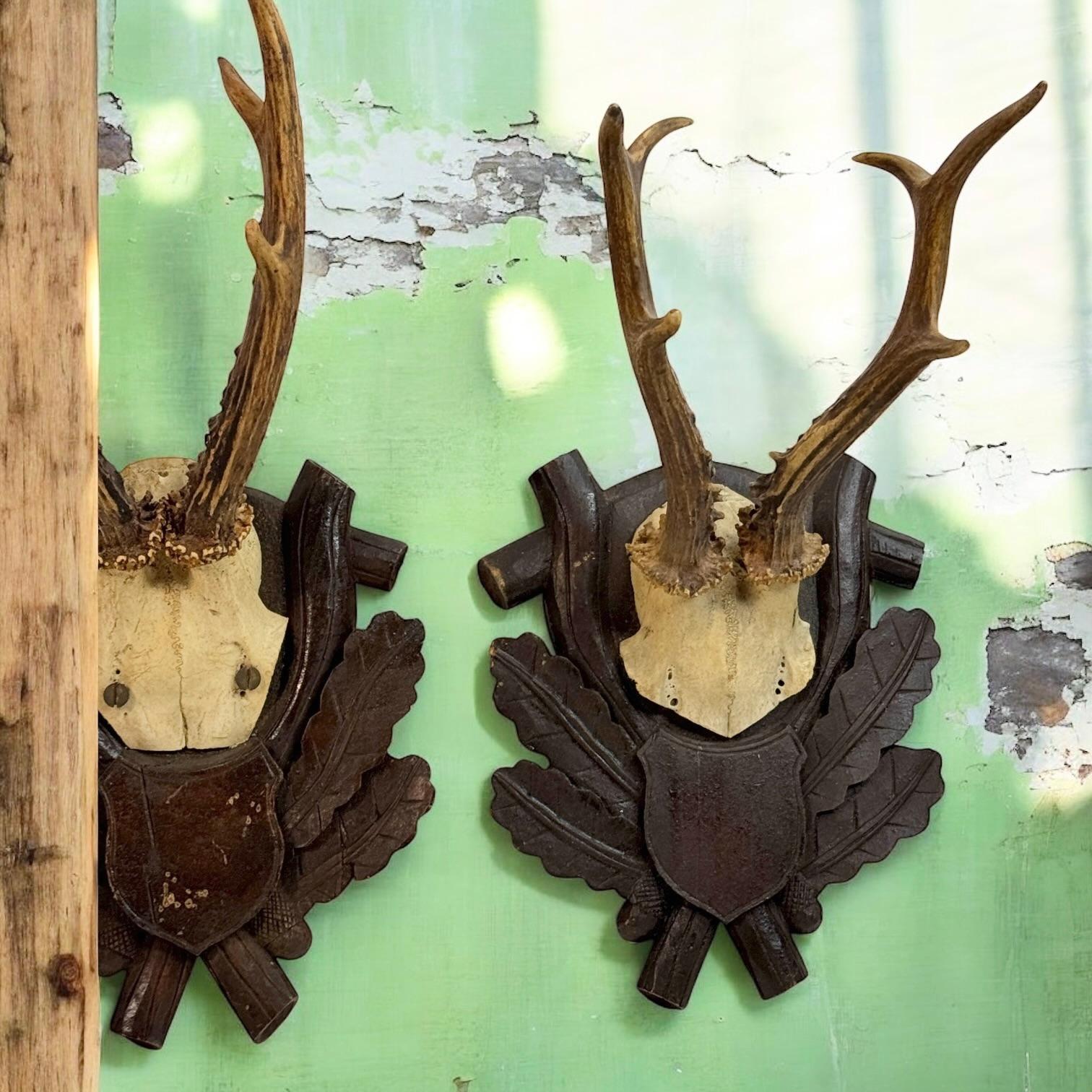Three Deer Antler Mount Trophy Black Forest on Wood Plaque Austria Folk Art 1930 For Sale 2
