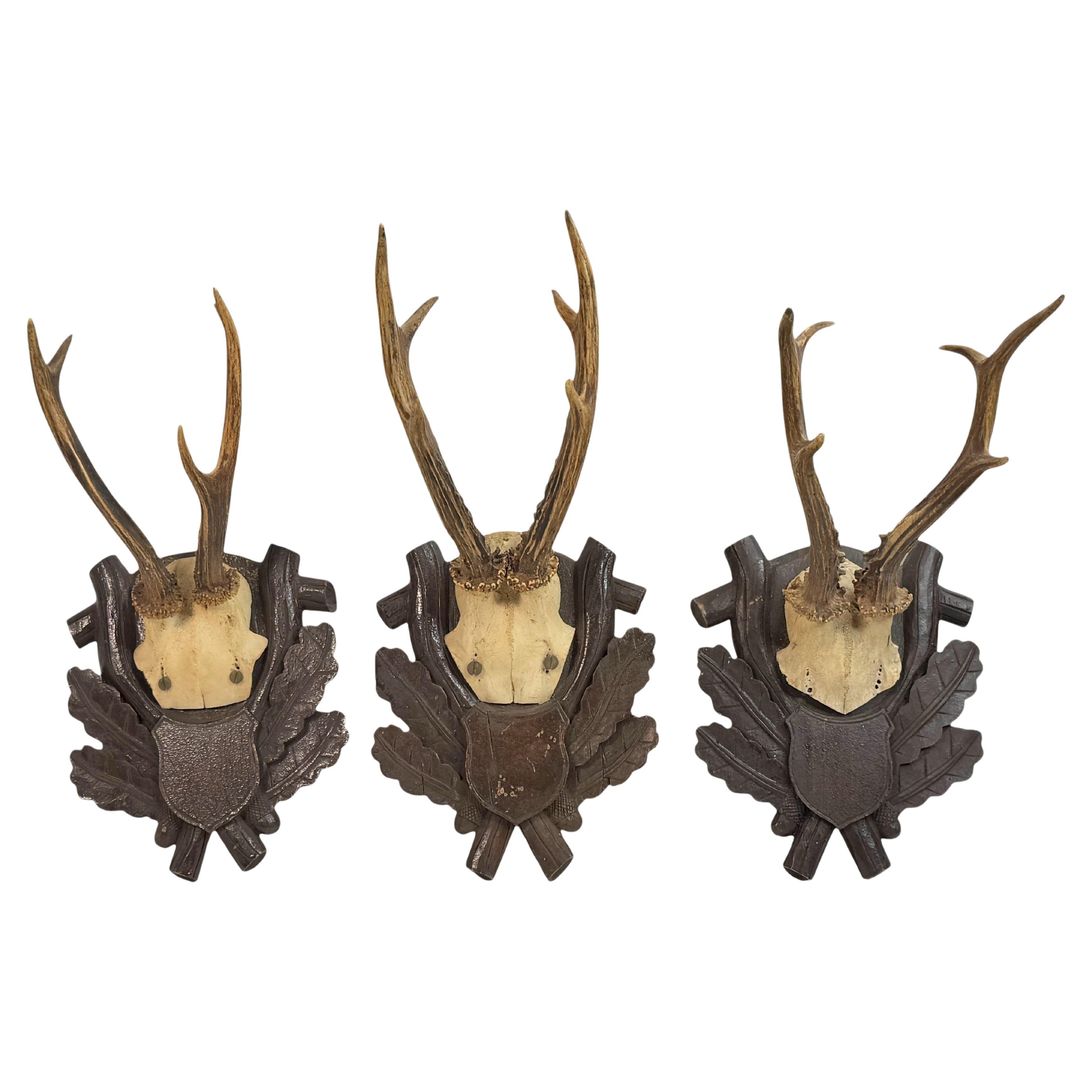 Three Deer Antler Mount Trophy Black Forest on Wood Plaque Austria Folk Art 1930