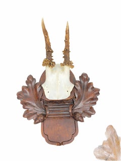 Three Deer Antler Mount Trophy on Black Forest Carved Wood Plaque from Austria