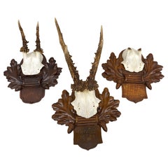 Vintage Three Deer Antler Mount Trophy on Black Forest Carved Wood Plaque from Austria