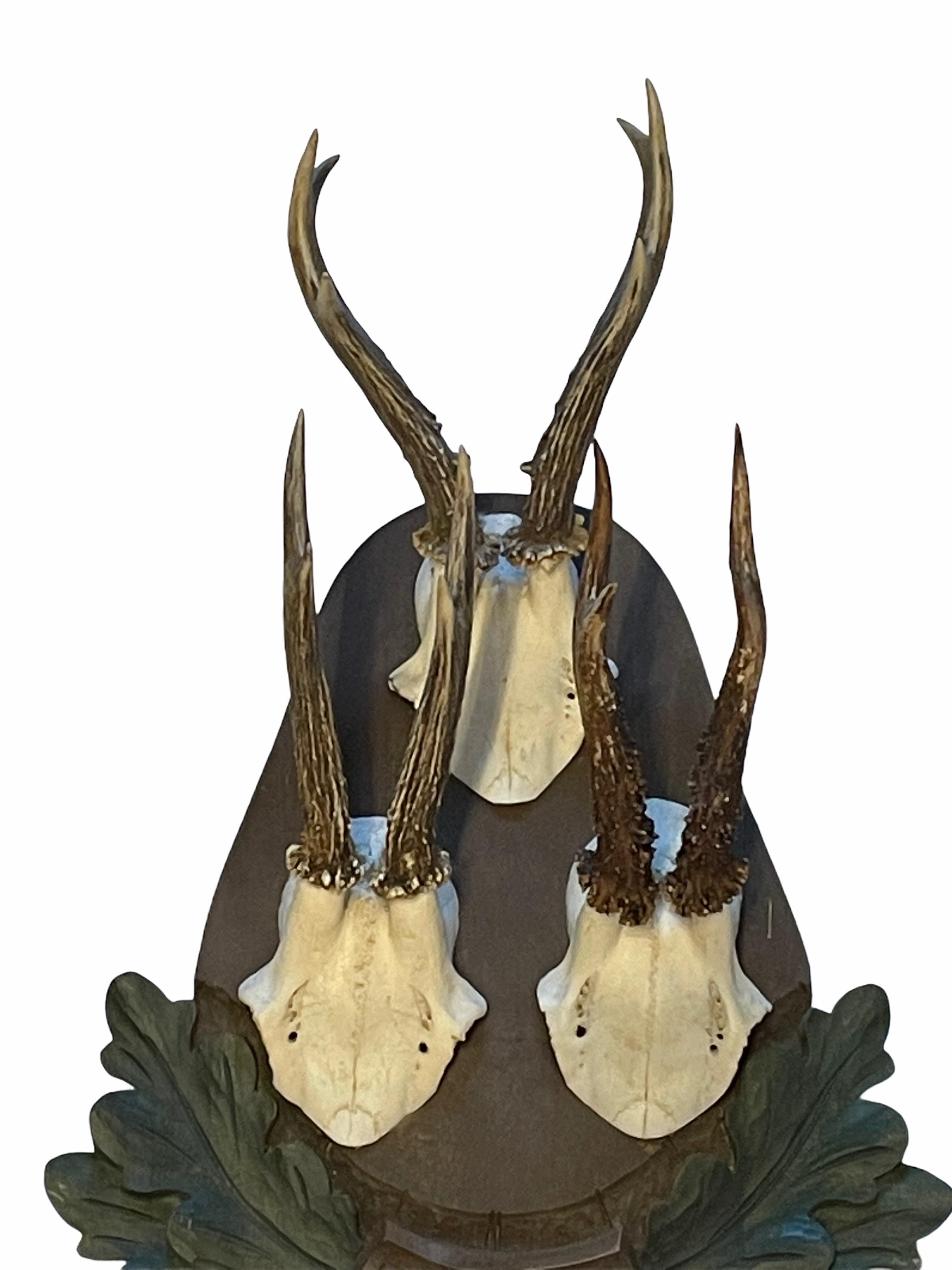 Hand-Carved Three Deer Antler Trophy on Large Black Forest Wood Carved Plaque, 1994