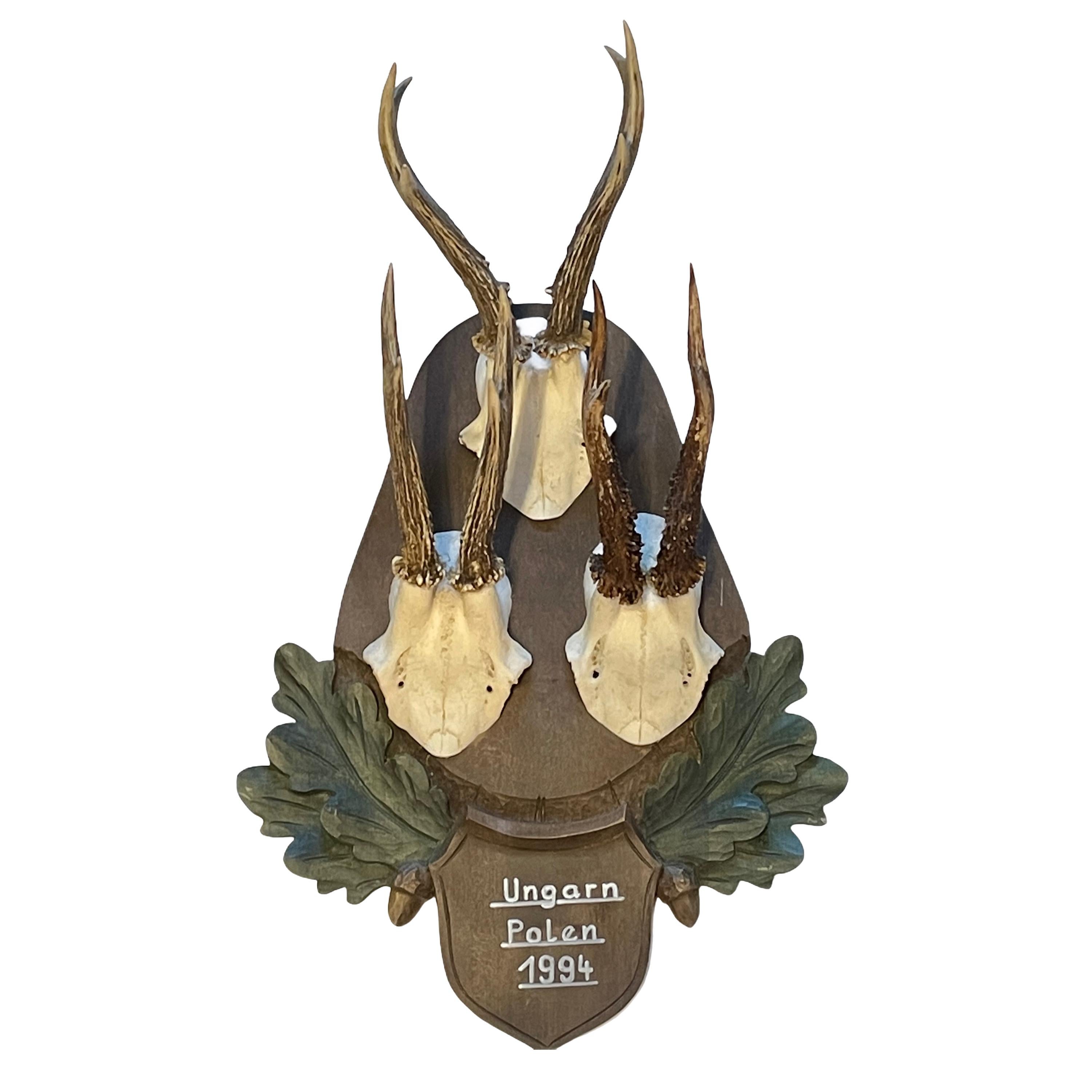 Three Deer Antler Trophy on Large Black Forest Wood Carved Plaque, 1994