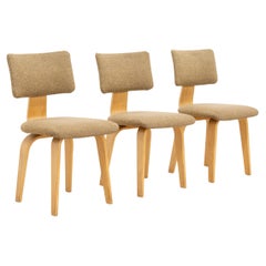 Tres sillas de comedor SB03 de Cees Braakman para Pastoe, años 50