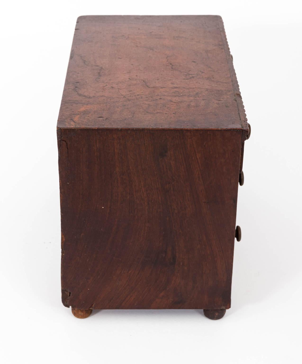 Federal style American mahogany specimen cabinet with thirty butterfly specimens under a glass top, circa 1835. Made in the United States. Please note of wear consistent with age including wood loss and finish loss to the cabinet.