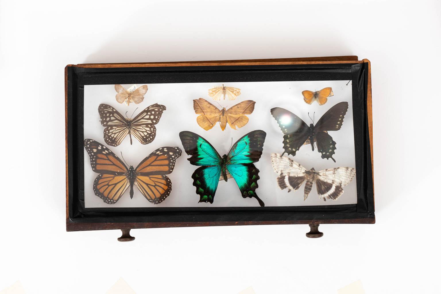 American Three-Drawer Butterfly Cabinet