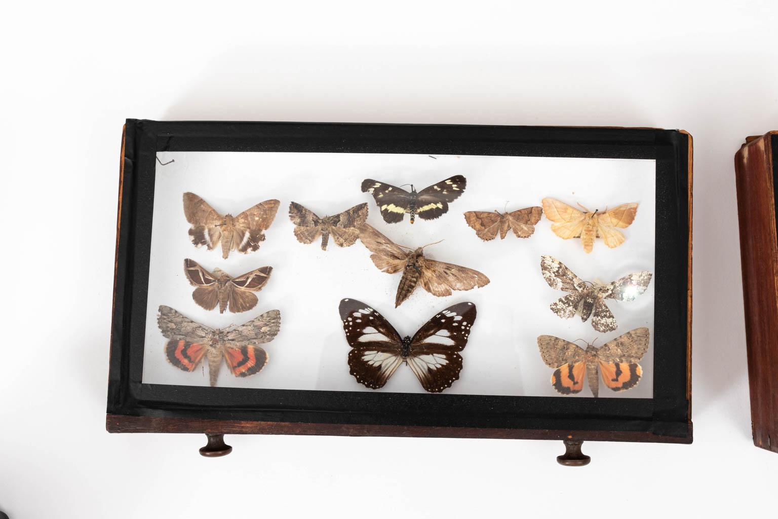 Three-Drawer Butterfly Cabinet In Good Condition In Stamford, CT