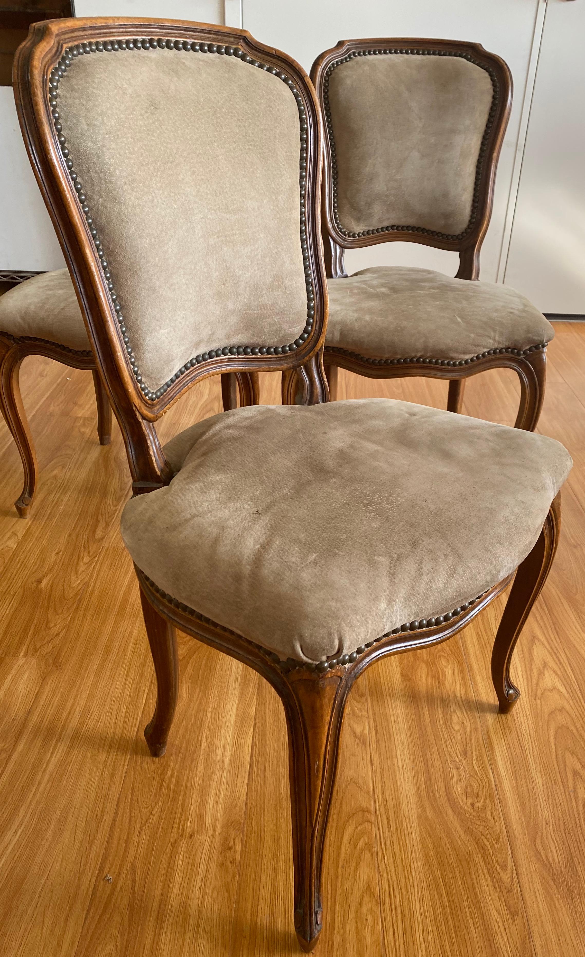 Three early 20th century French walnut carved side chairs, circa 1900
Classic French walnut side chairs. Each chair is carved from solid walnut. The chair are currently sporting a suede type covering with brass tacks

These chairs can be used 