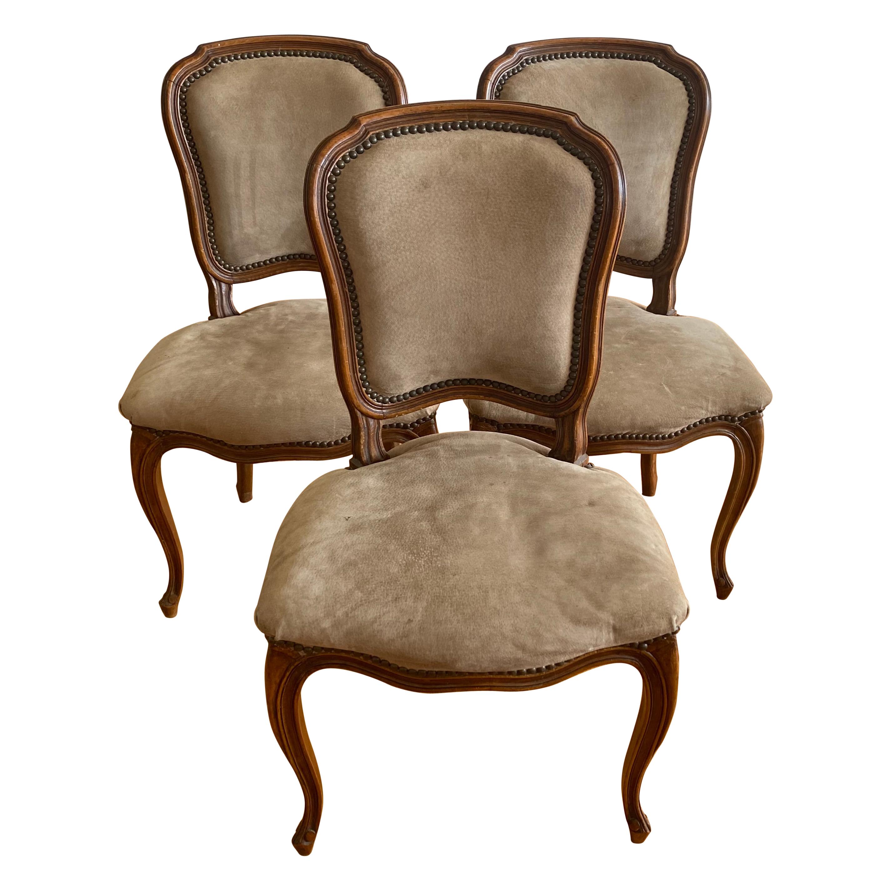 Three Early 20th Century French Walnut Carved Side Chairs, circa 1900
