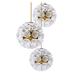 Mid-Century Modern Chandeliers and Pendants