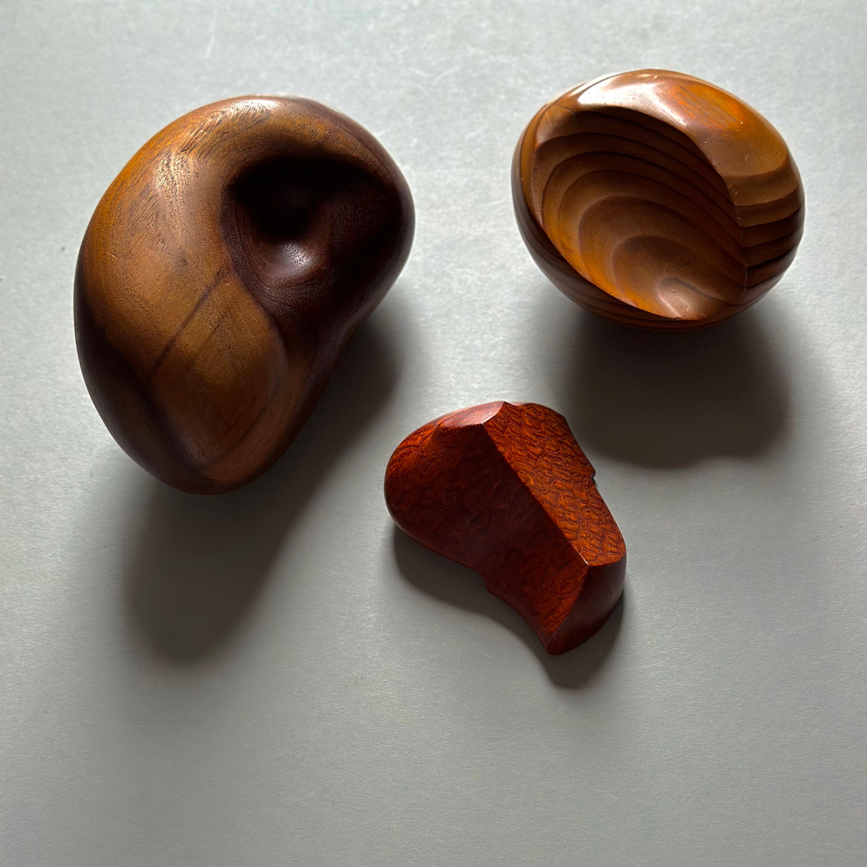 Organic Modern Three Form Studies in Dialogue: Set of Modernist Wood Sculptures For Sale