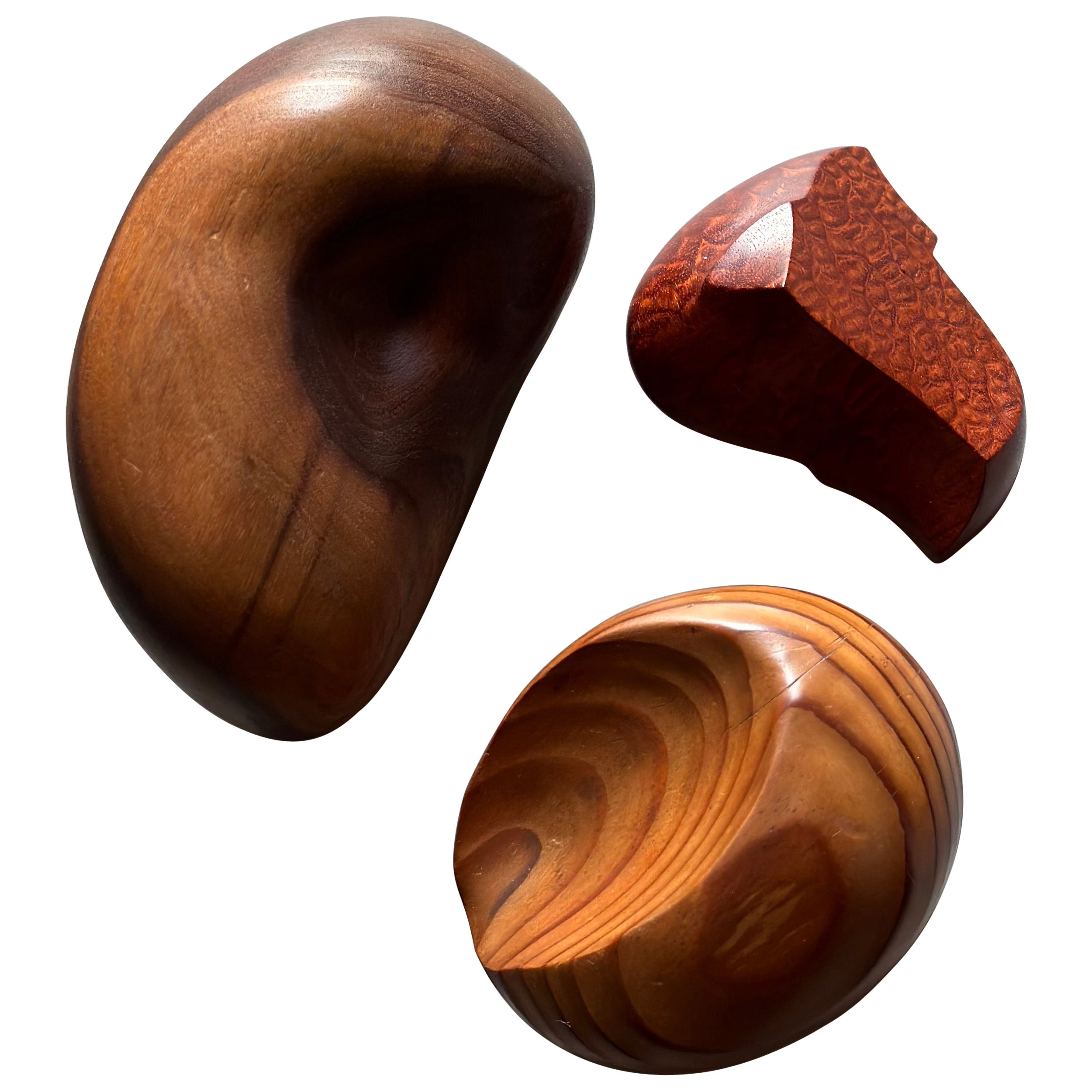 Drei Formstudien im Dialog: Set modernistischer Holzskulpturen im Angebot
