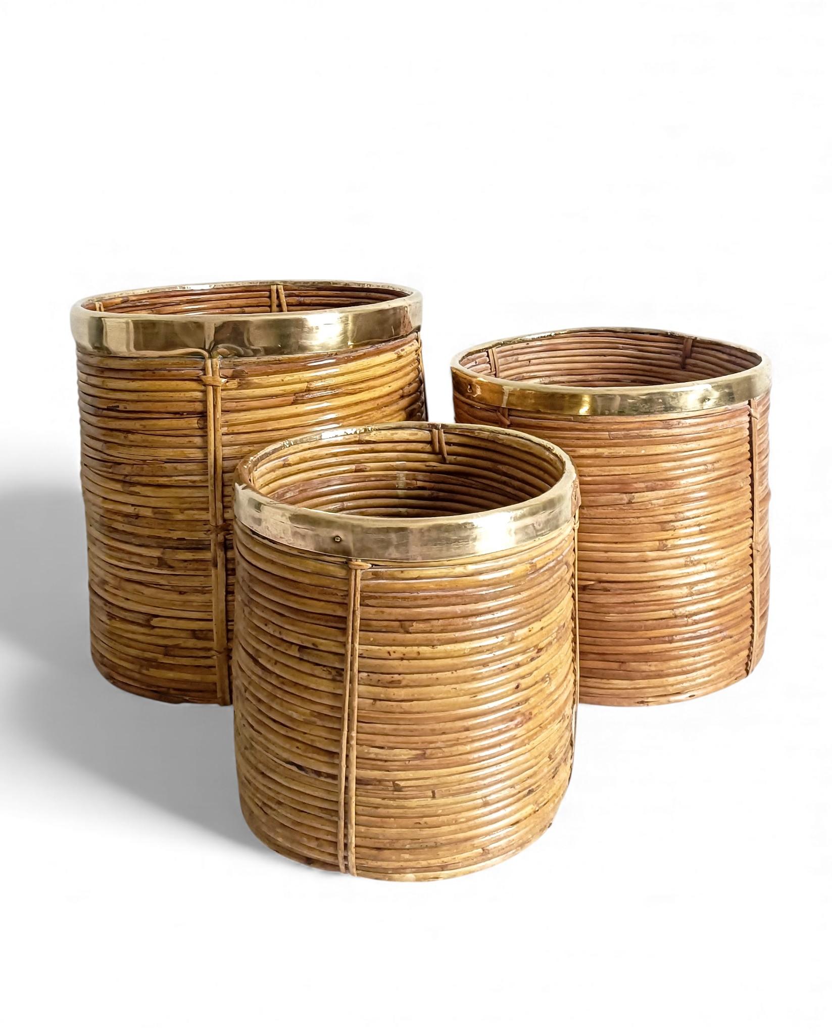 Three Large and XL Rattan / Pencil Reed Planters with Brass Rim, Italy, 1960s For Sale 4