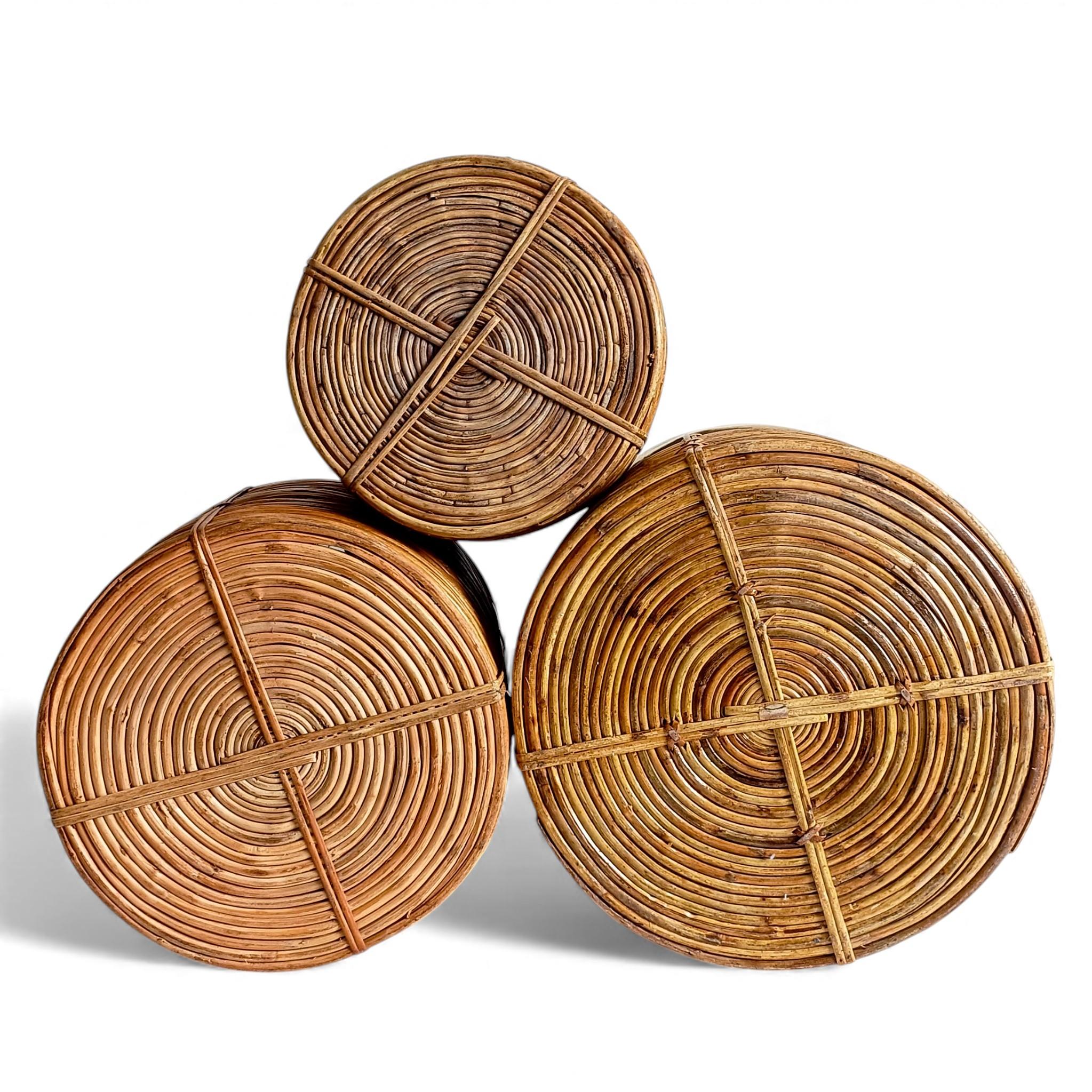 Three Large and XL Rattan / Pencil Reed Planters with Brass Rim, Italy, 1960s For Sale 10