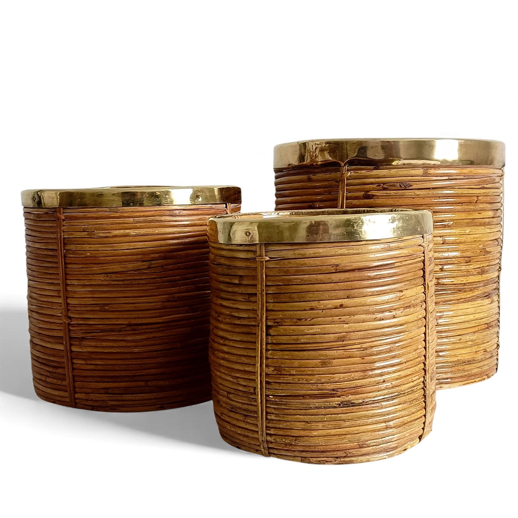 Three Large and XL Rattan / Pencil Reed Planters with Brass Rim, Italy, 1960s For Sale 1