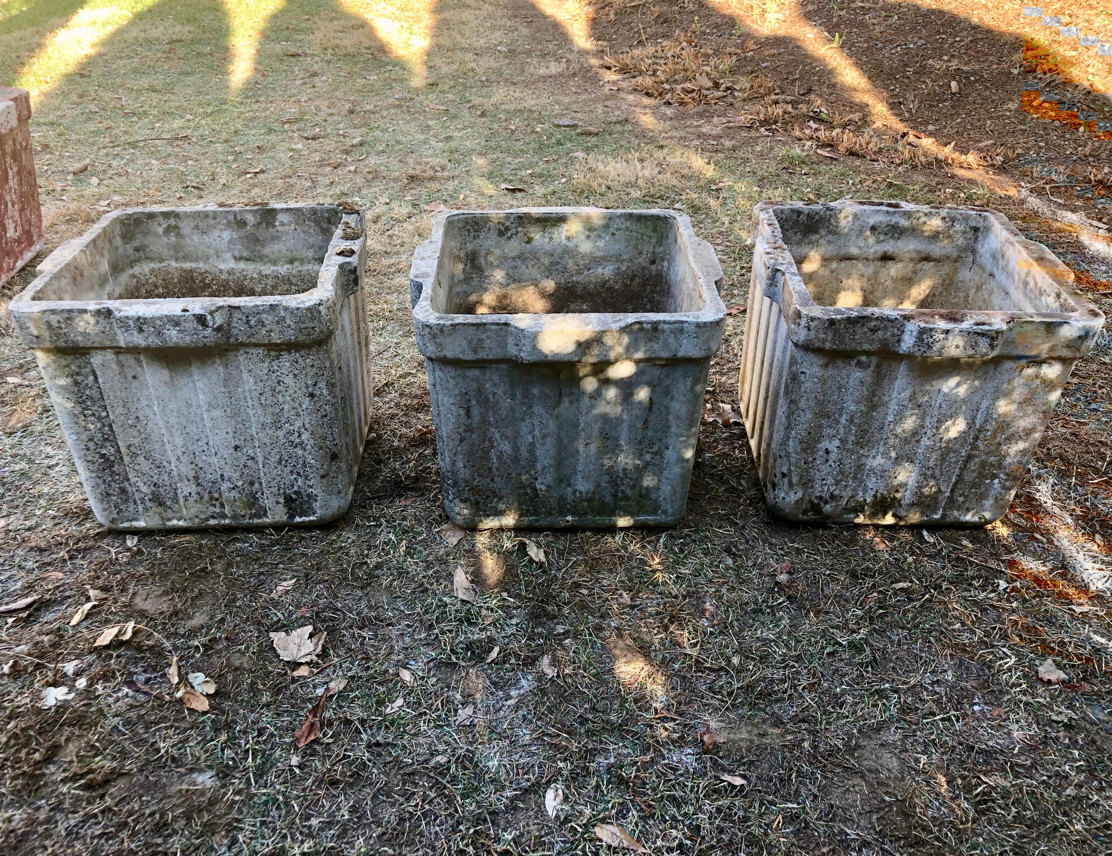 These ribbed planters with integral handles on all four sides were designed by the iconic Willy Guhl and produced by Eternit of Switzerland in three sizes. These are the medium-sized ones. In outstanding structural condition, they feature an