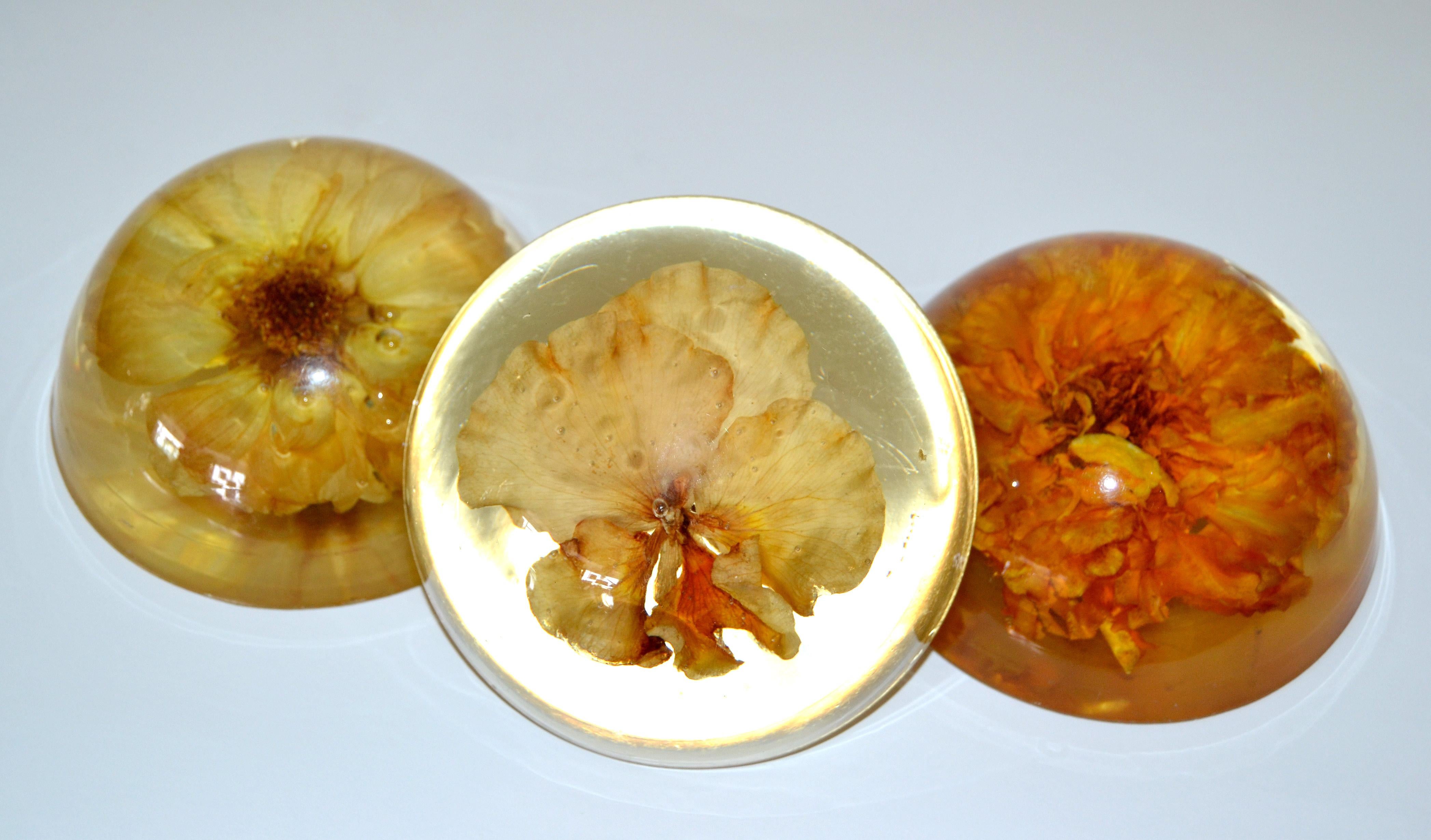 Three Mid-Century Modern Resin Pressed Yellow & Orange Dried Blooms Paperweights For Sale 4
