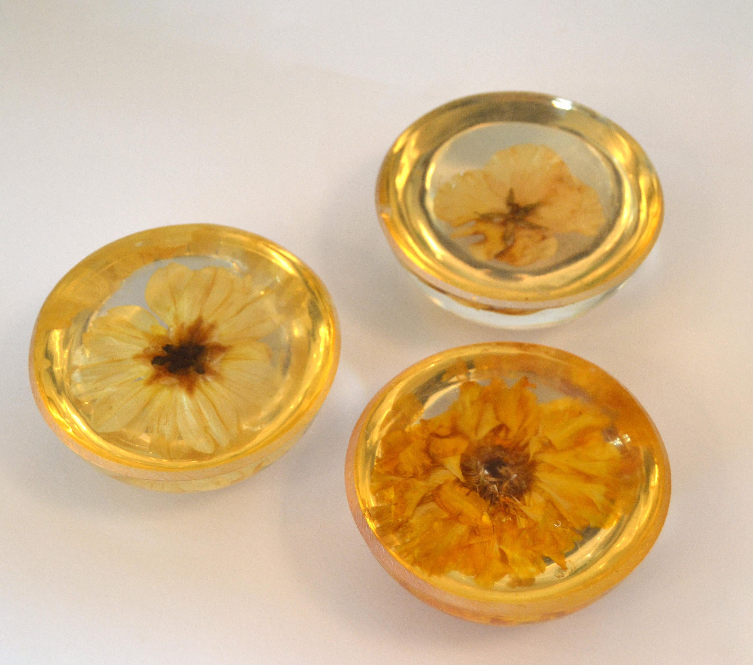 Three Mid-Century Modern Resin Pressed Yellow & Orange Dried Blooms Paperweights For Sale 5