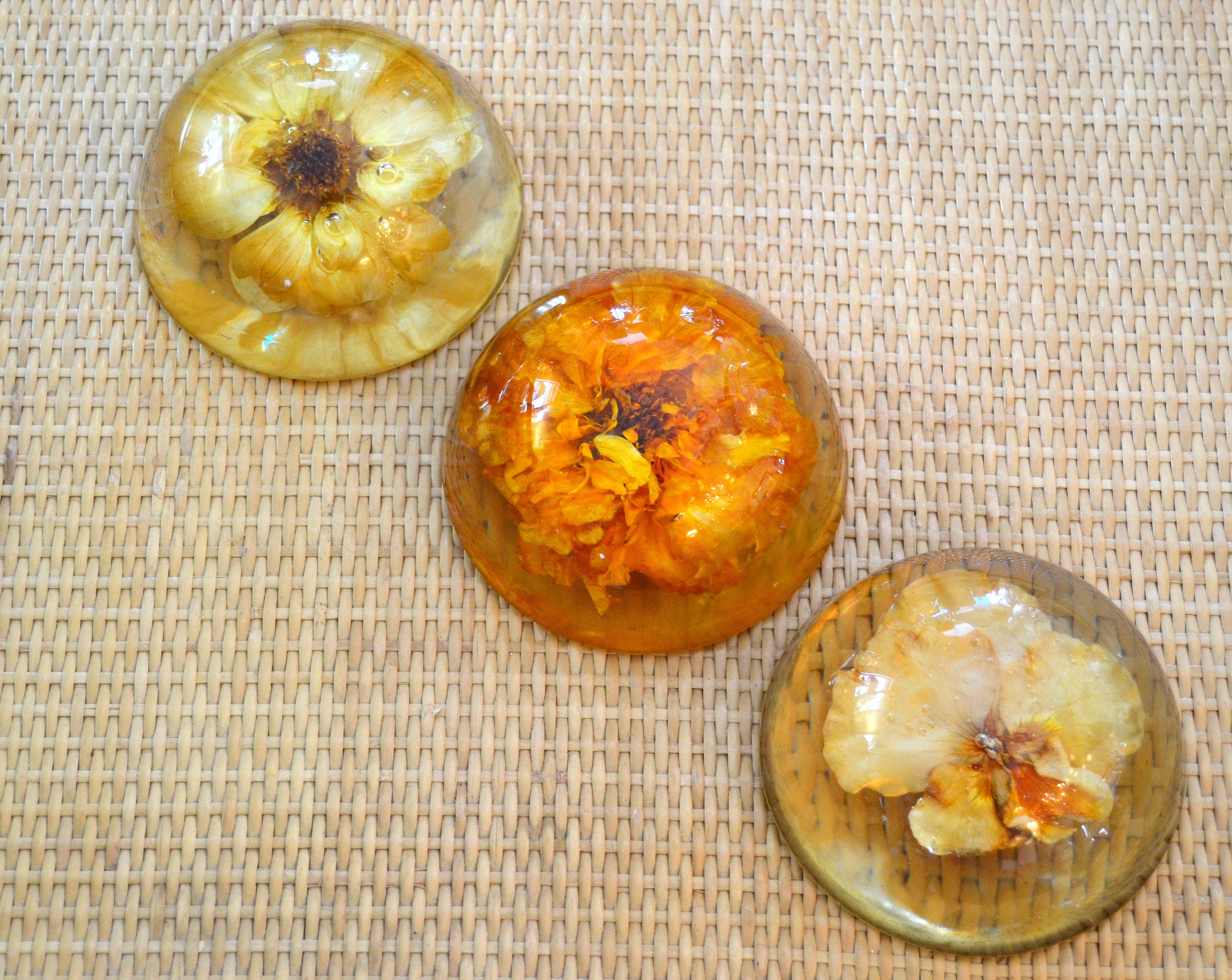 Three Mid-Century Modern Resin Pressed Yellow & Orange Dried Blooms Paperweights For Sale 6
