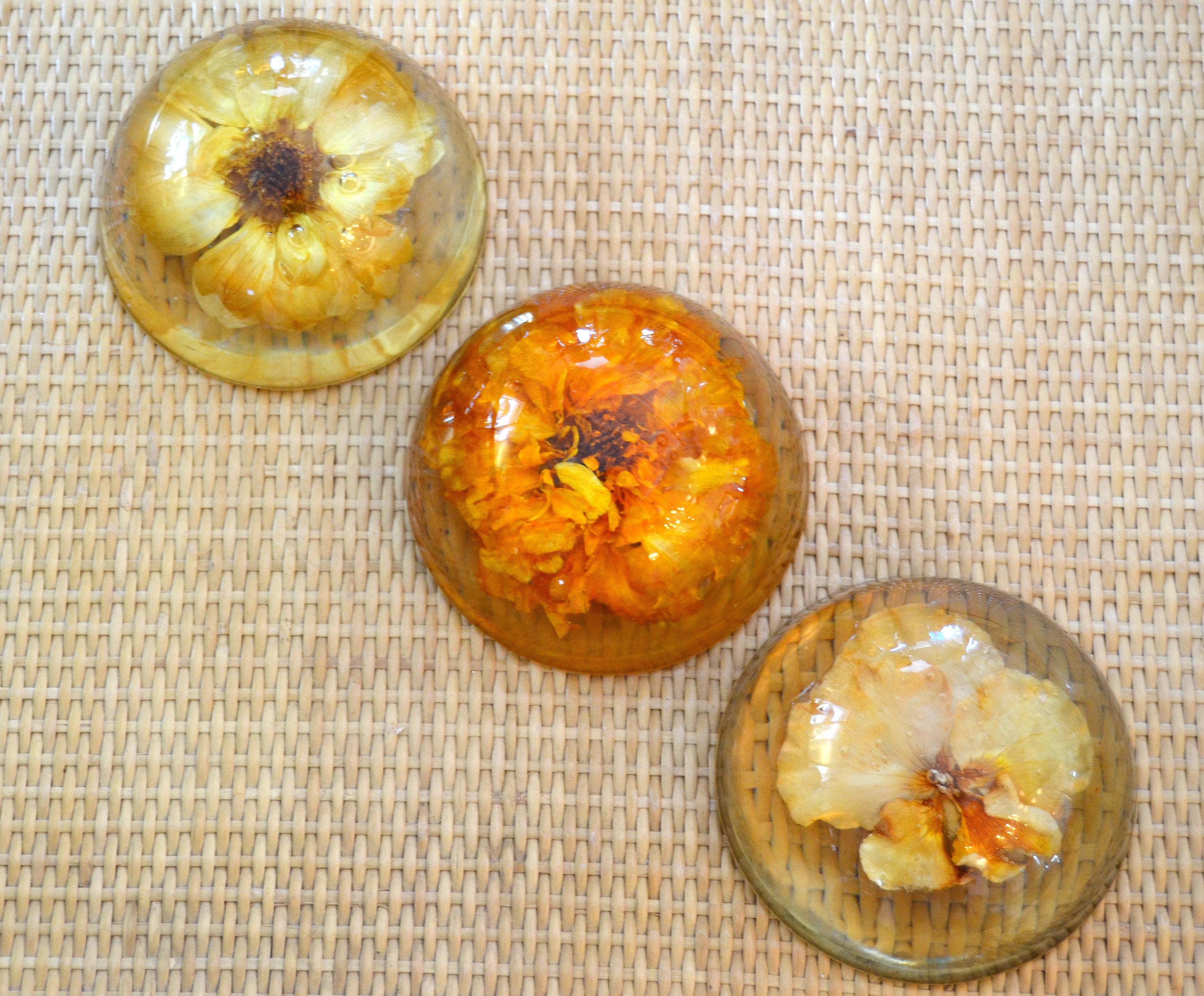 Set of three Mid-Century Modern resin pressed yellow and orange dried blooms paperweights.