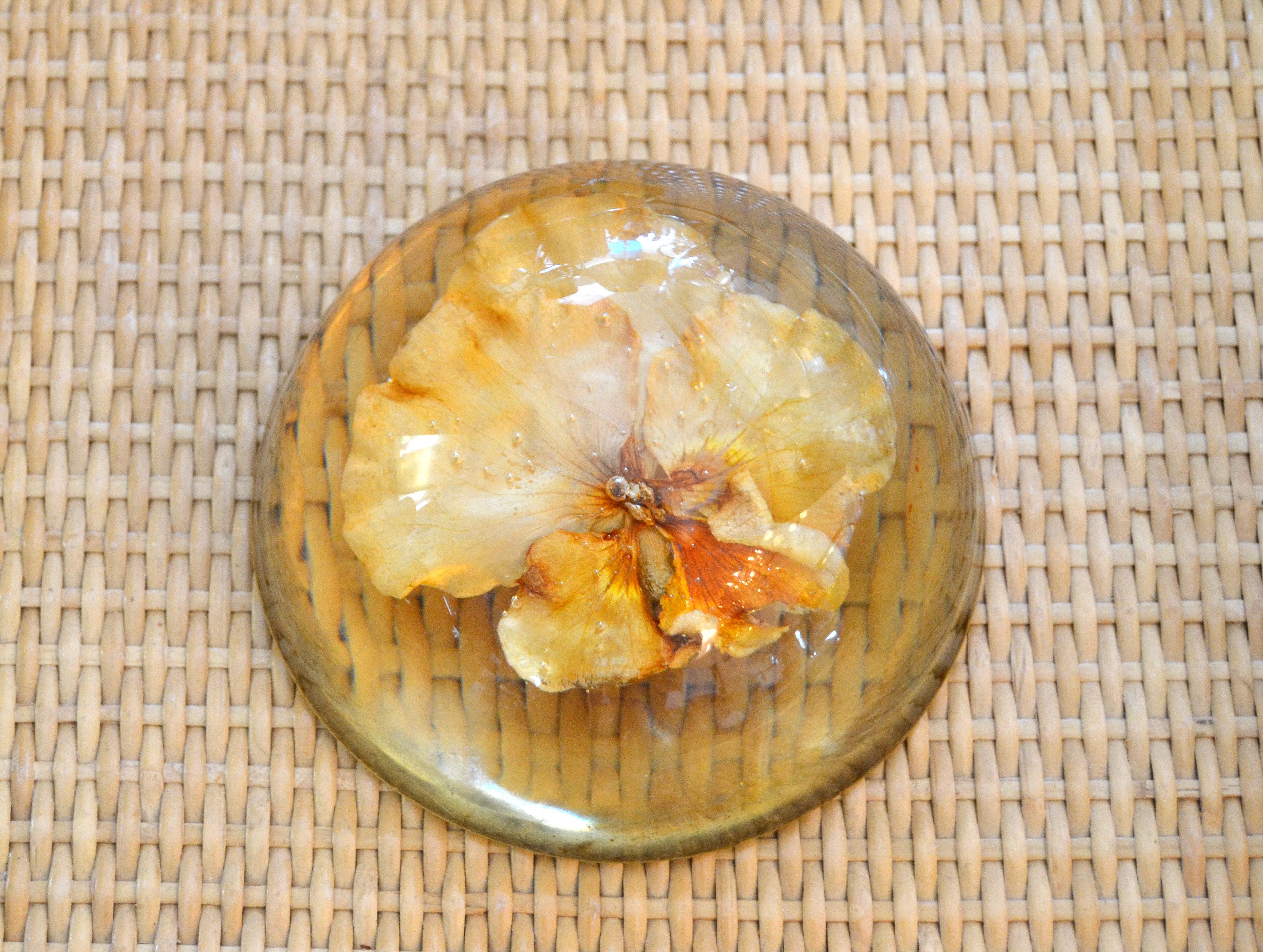American Three Mid-Century Modern Resin Pressed Yellow & Orange Dried Blooms Paperweights For Sale