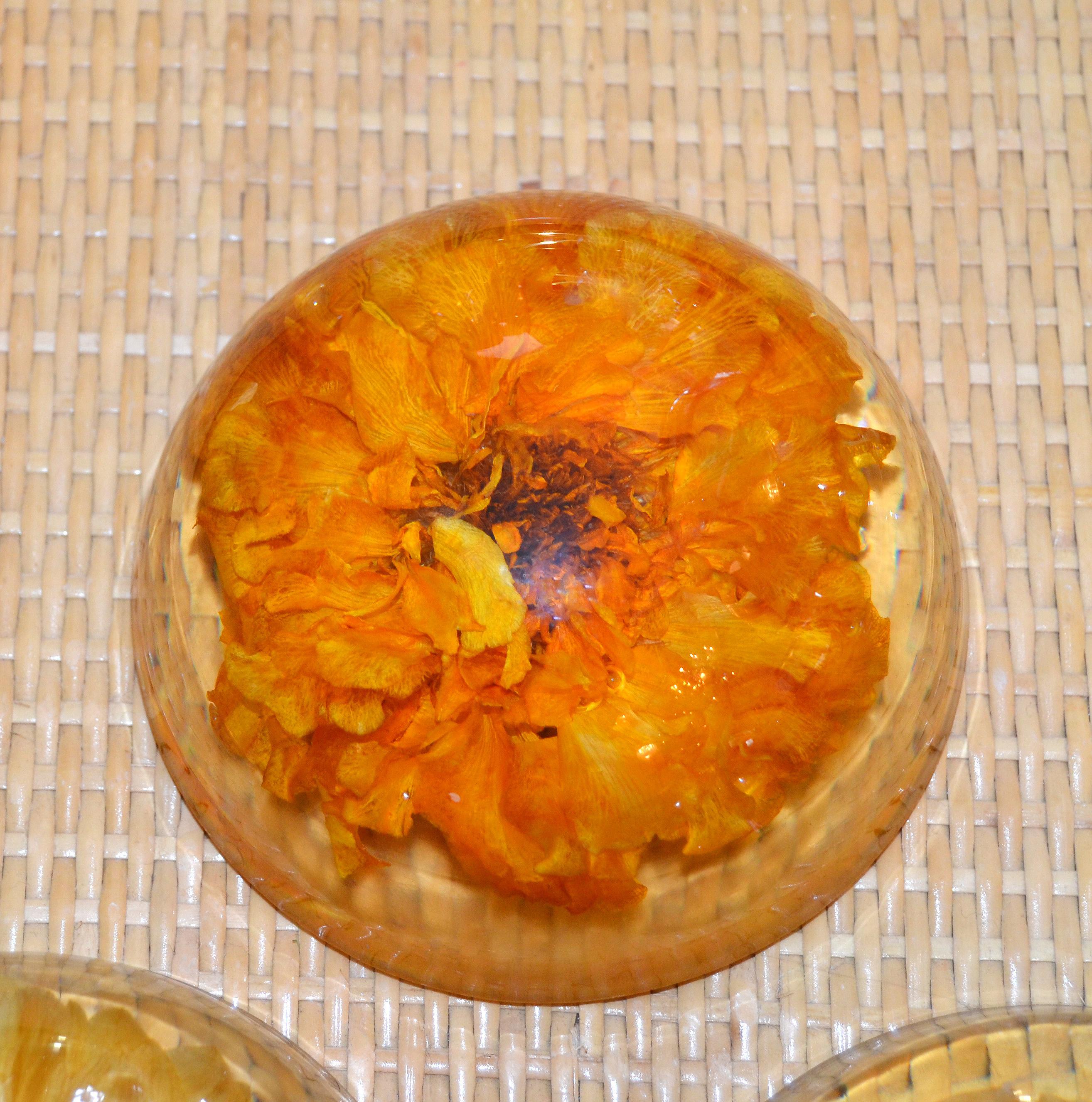 Hand-Crafted Three Mid-Century Modern Resin Pressed Yellow & Orange Dried Blooms Paperweights For Sale
