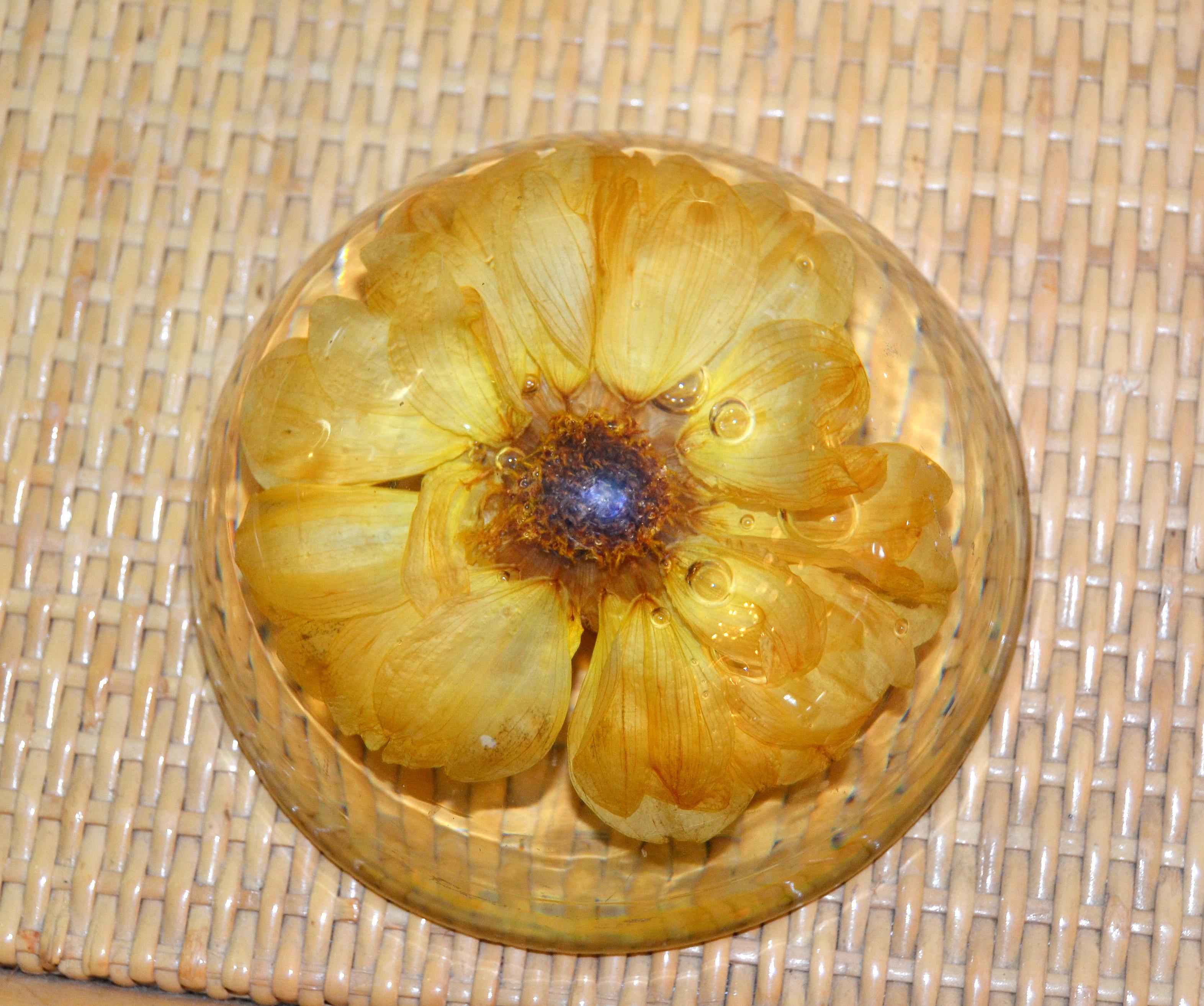 Three Mid-Century Modern Resin Pressed Yellow & Orange Dried Blooms Paperweights In Good Condition For Sale In Miami, FL