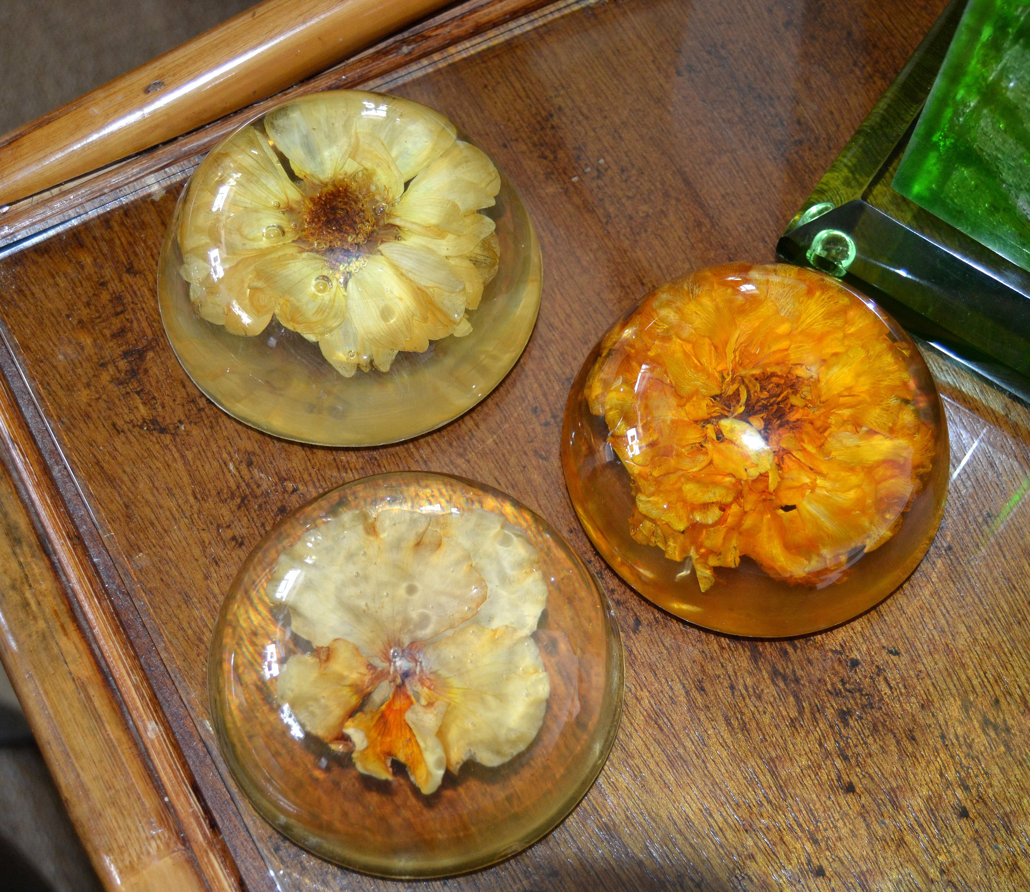 Late 20th Century Three Mid-Century Modern Resin Pressed Yellow & Orange Dried Blooms Paperweights For Sale