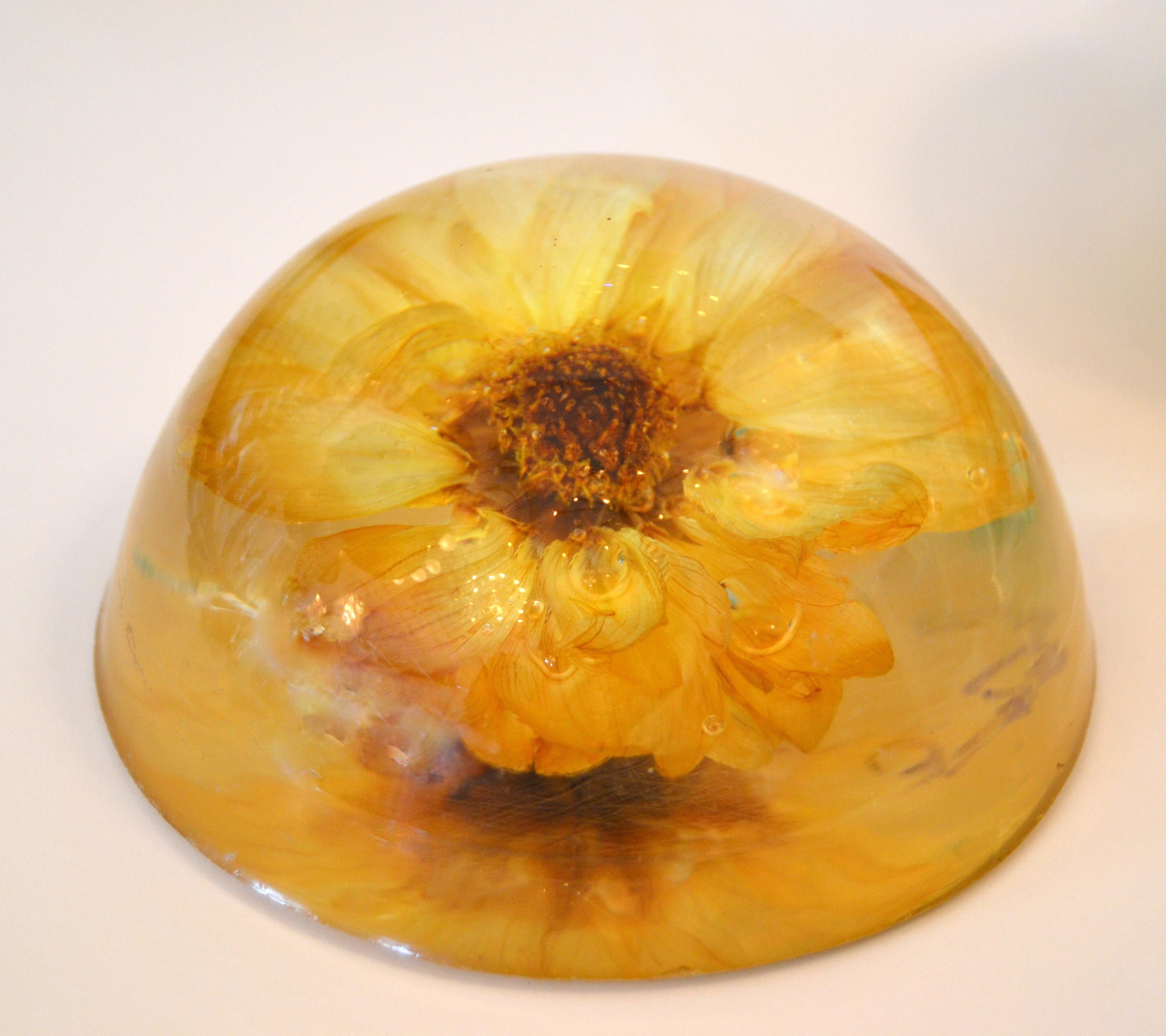 Three Mid-Century Modern Resin Pressed Yellow & Orange Dried Blooms Paperweights For Sale 3