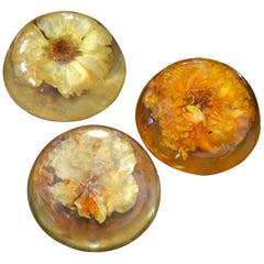 Three Mid-Century Modern Resin Pressed Yellow & Orange Dried Blooms Paperweights