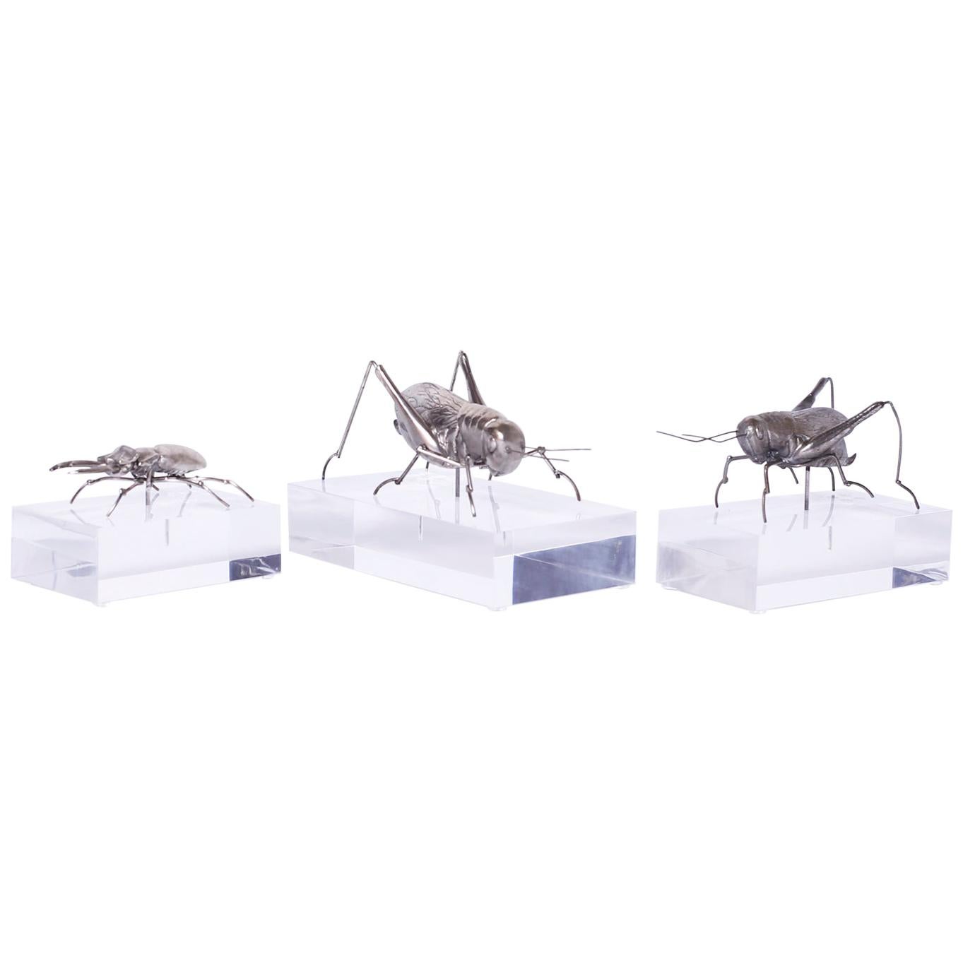 Two Mid Century Insect Sculptures on Lucite