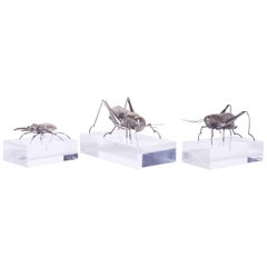 Mid-Century Modern Animal Sculptures