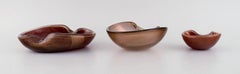 Three Organically Shaped Murano Bowls in Mouth Blown Art Glass, Italian Design