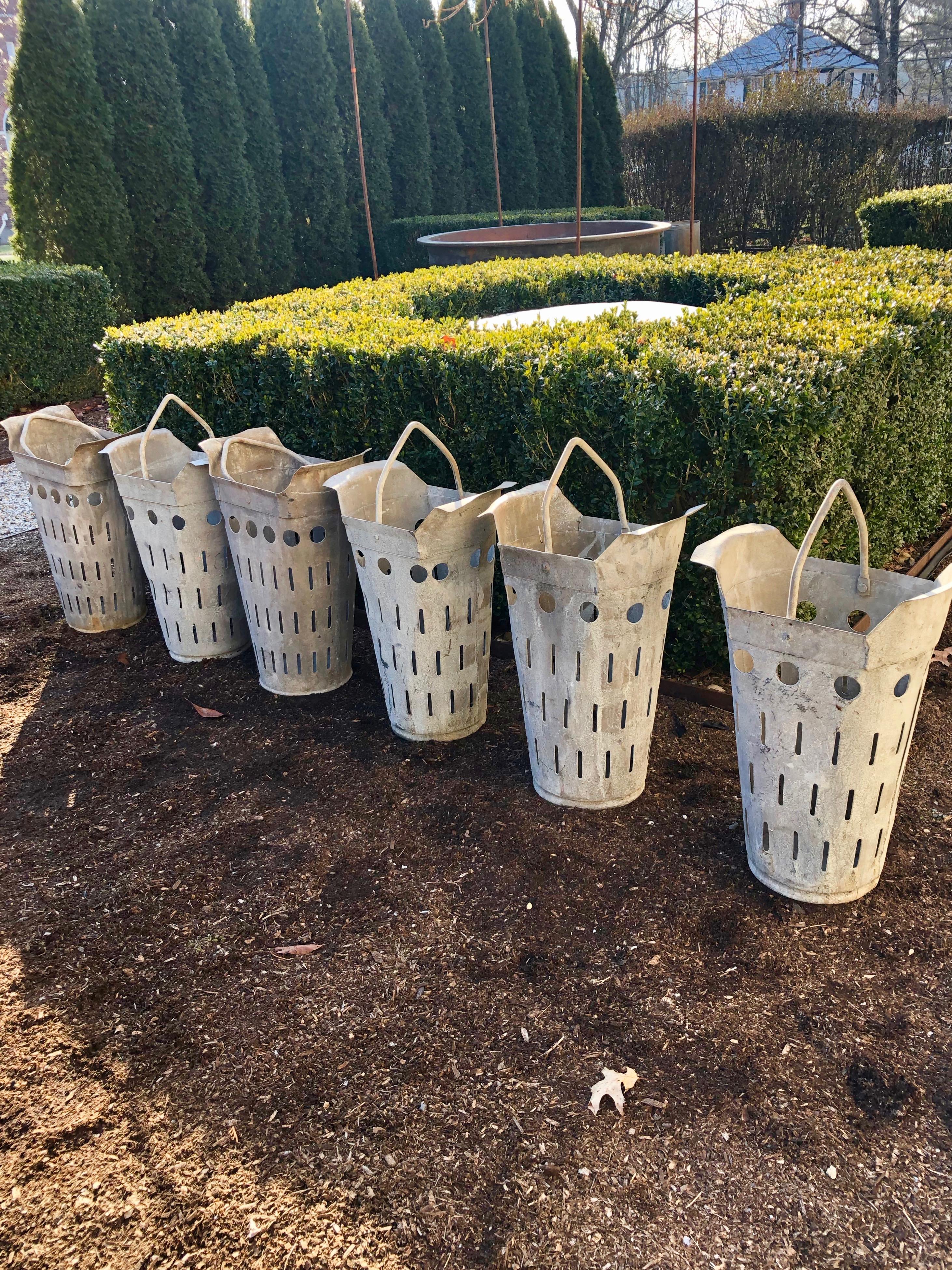 Two Pairs of French Perforated Zinc Florist Pots with Handles In Good Condition In Woodbury, CT