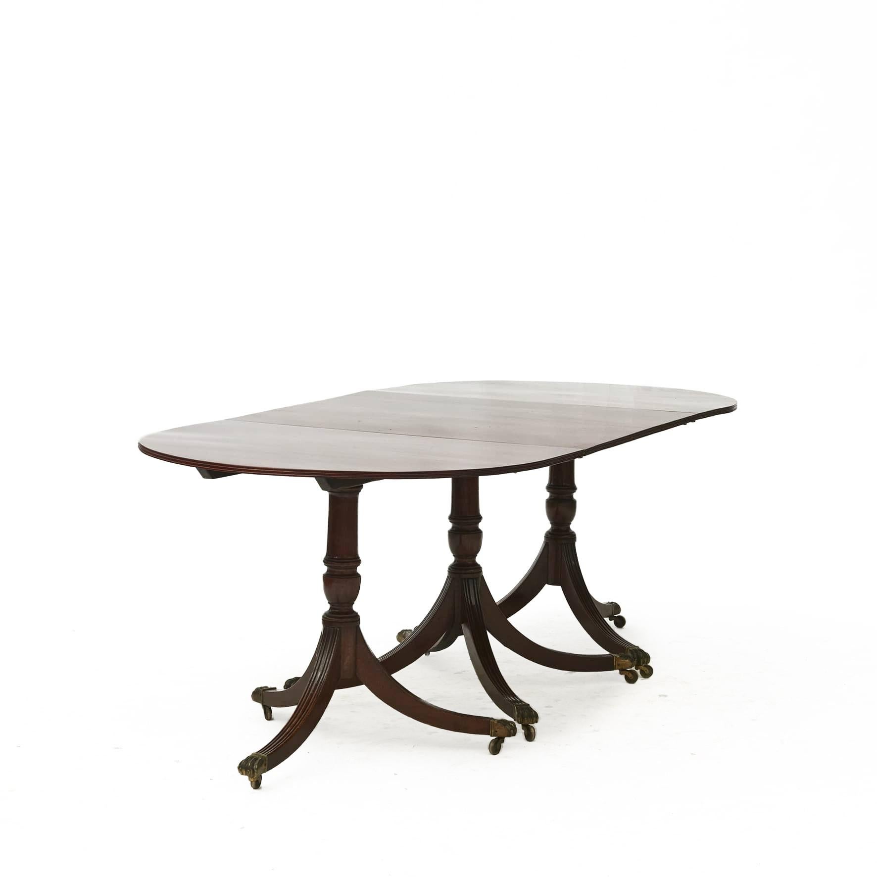 Regency style 3 pedestal dining table in solid mahogany with two extension leaves with demi lune ends. 
A reeded edge detail completes the look.
Raised up on three pedestals with turned pillars and four outswept reeded legs, ending on bronze lion’s