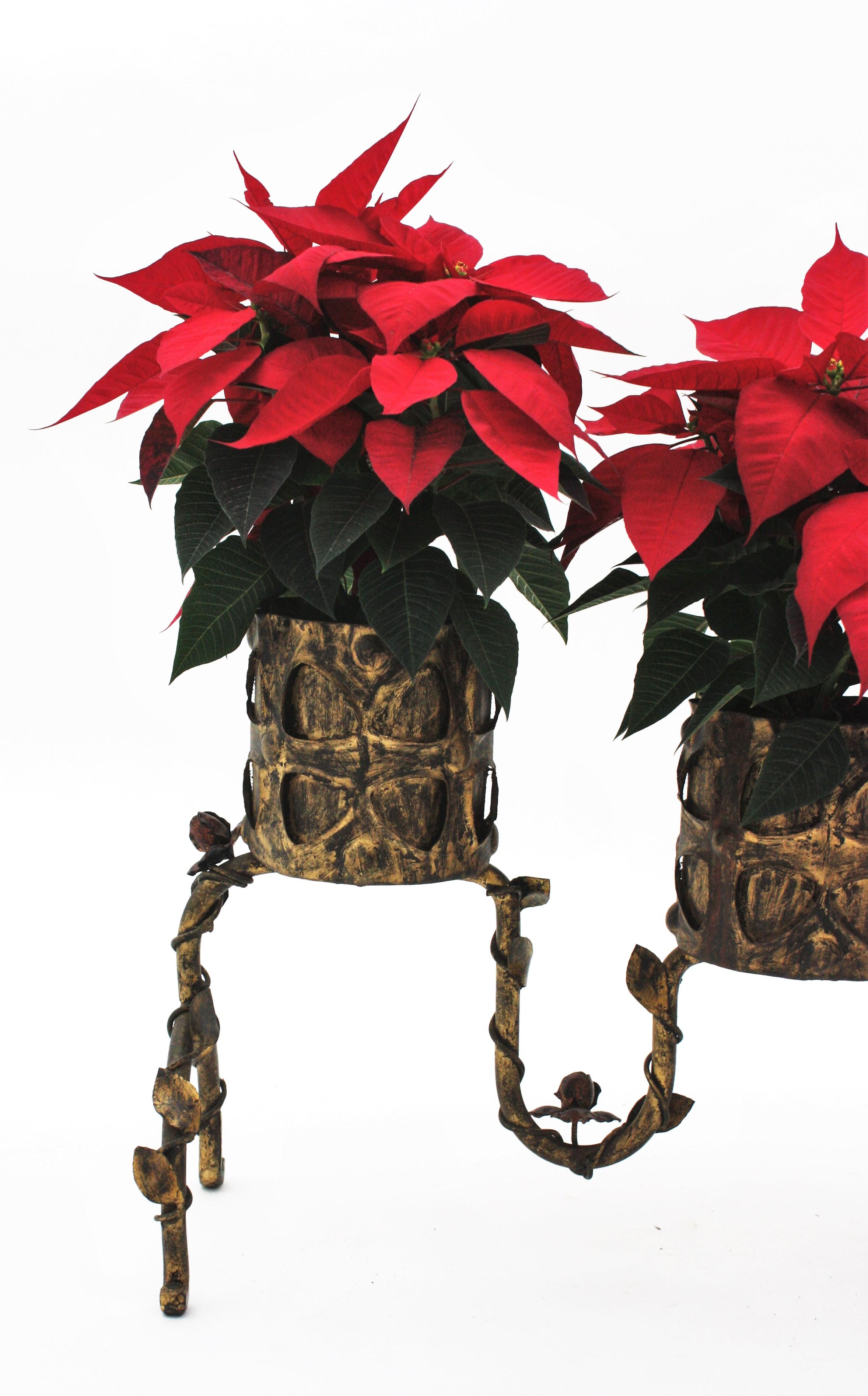 Spanish Gilt Iron Planter / Three Plant Stand with Foliage Floral Motifs, 1950s For Sale 4