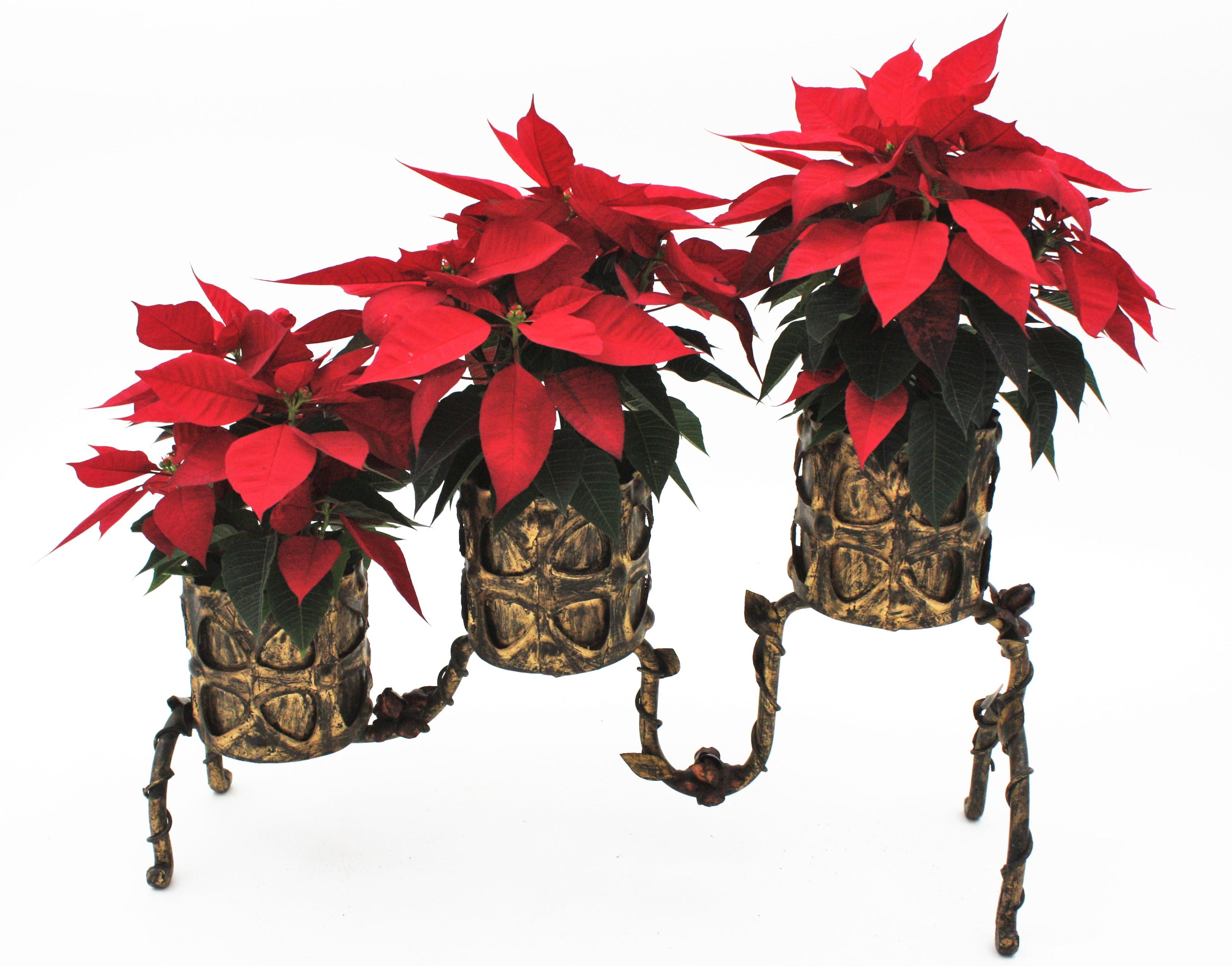 Mid-Century Modern Spanish Gilt Iron Planter / Three Plant Stand with Foliage Floral Motifs, 1950s For Sale
