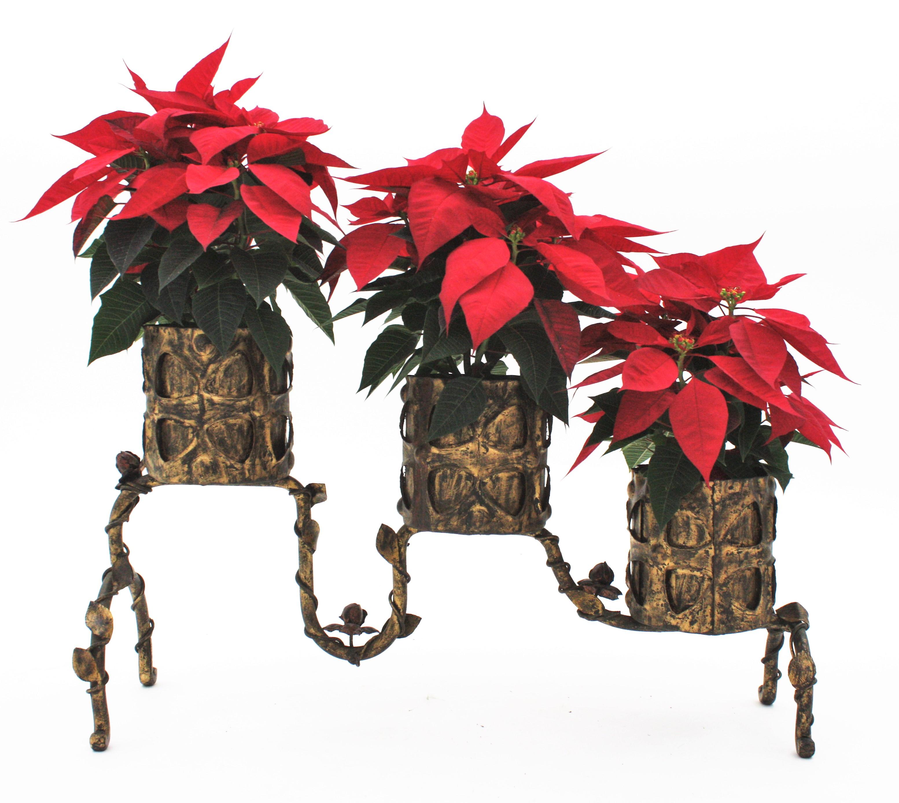 Spanish Gilt Iron Planter / Three Plant Stand with Foliage Floral Motifs, 1950s In Good Condition For Sale In Barcelona, ES