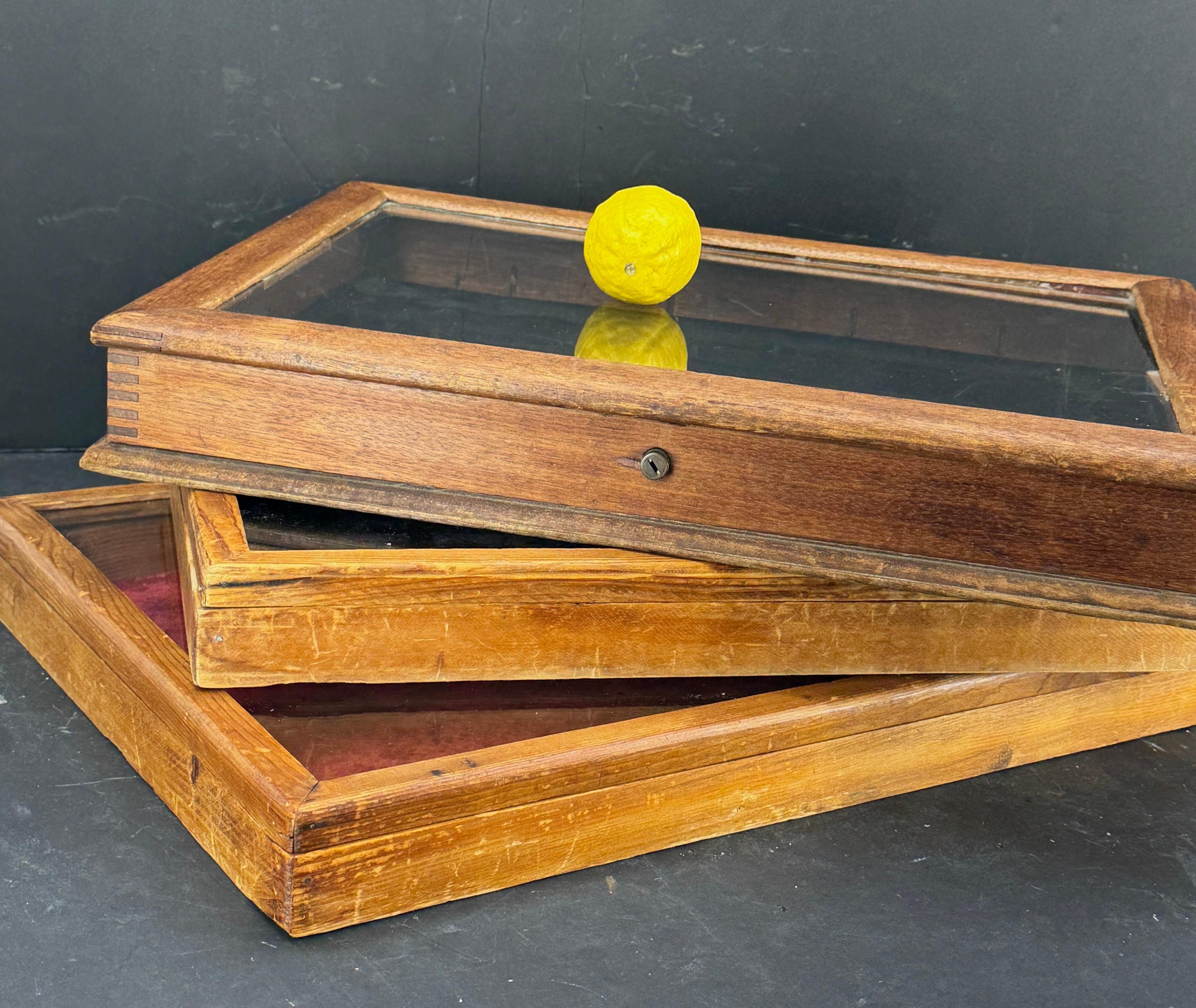 American Three Rectangular Wood Glass Table Display Cabinets Vitrines