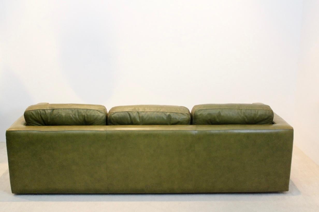 olive green leather sofa