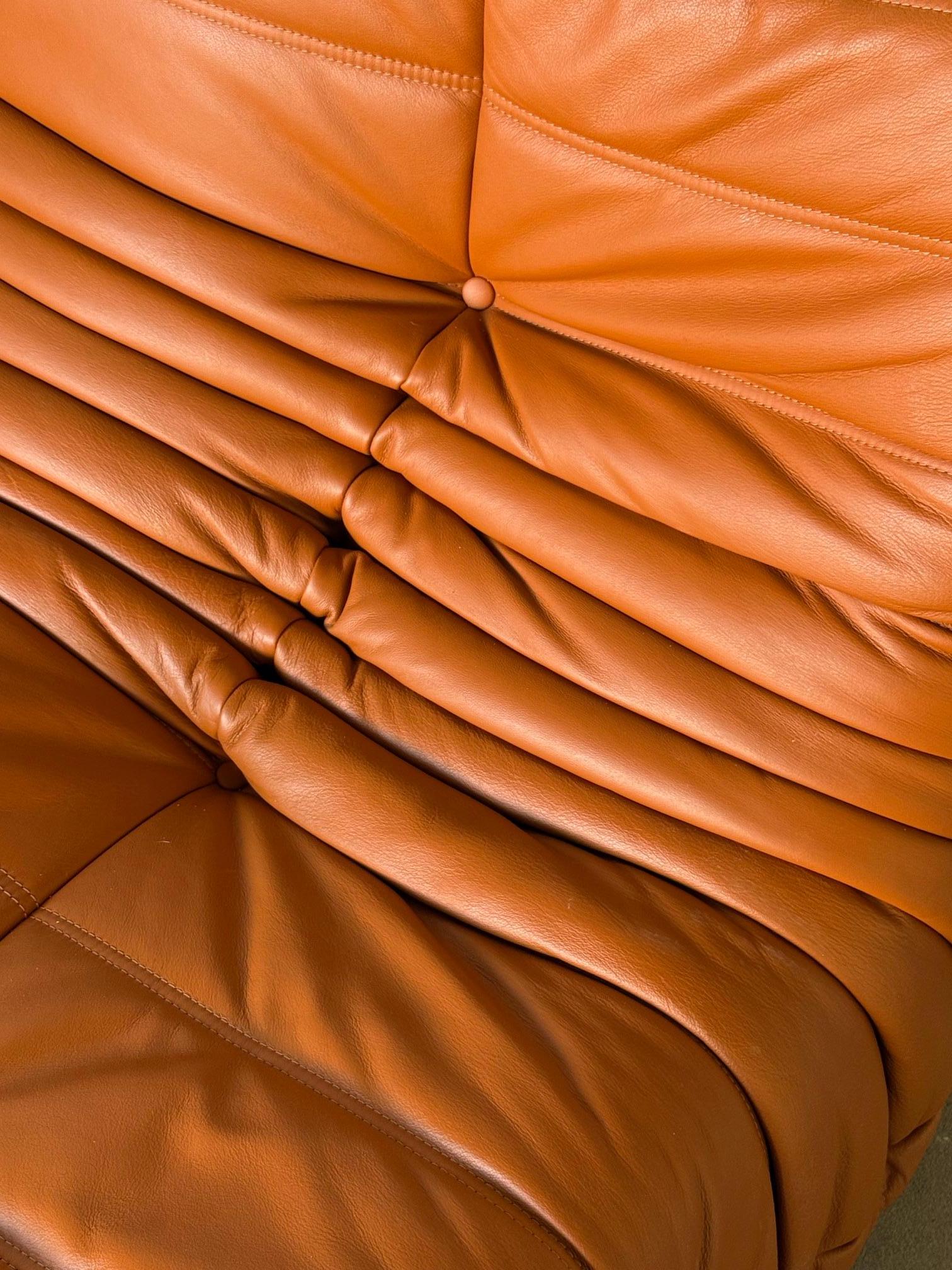 Three-Seat Togo Sofa by Michel Ducaroy for Ligne Roset in Caramel Leather For Sale 4