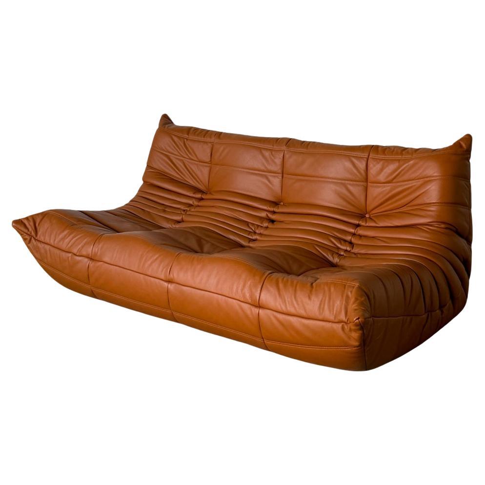 Three-Seat Togo Sofa by Michel Ducaroy for Ligne Roset in Caramel Leather