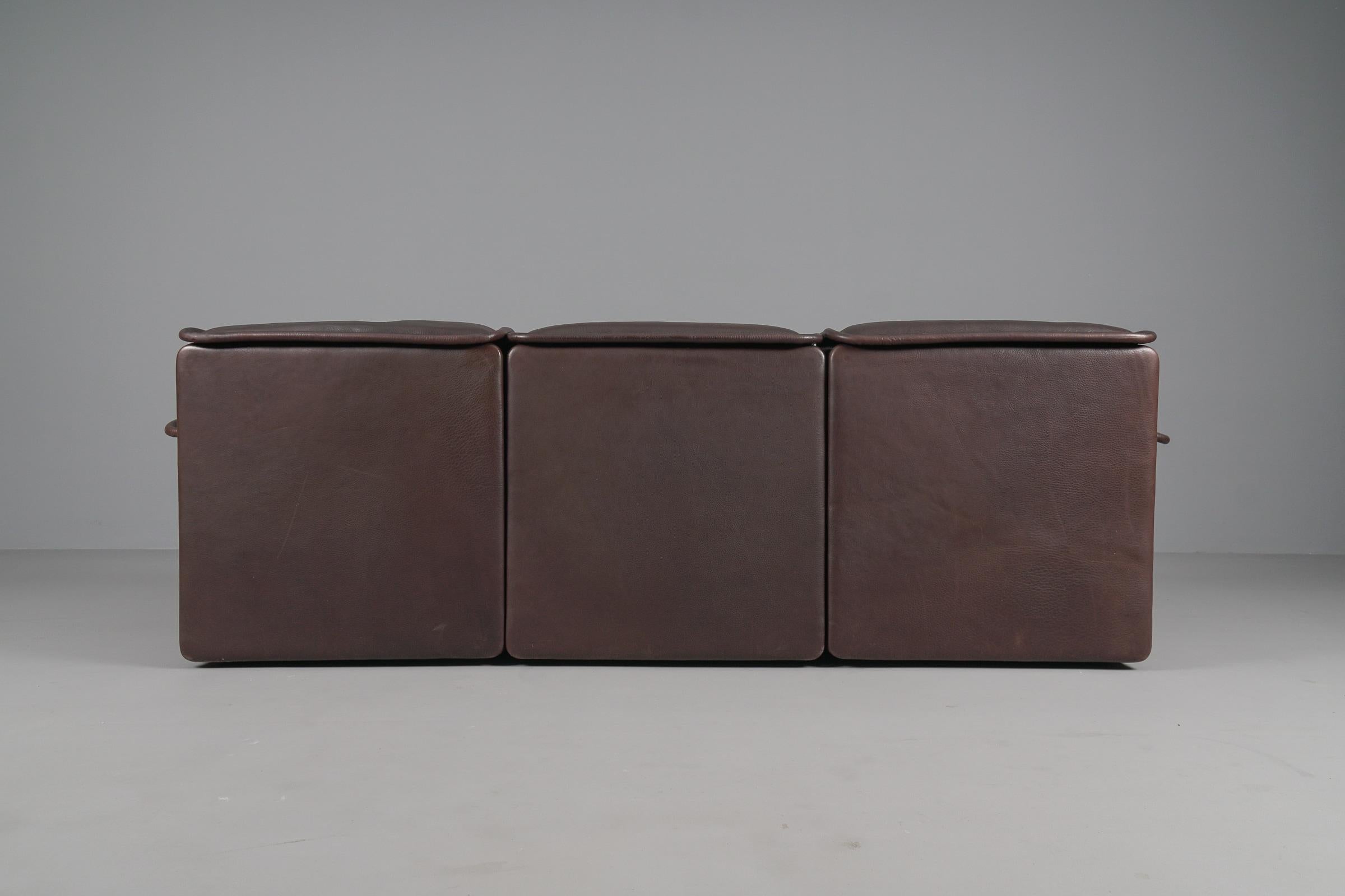 Three Seater Sofa by De Sede DS-12 in Brown Neck Leather, 1960s, Switzerland For Sale 4